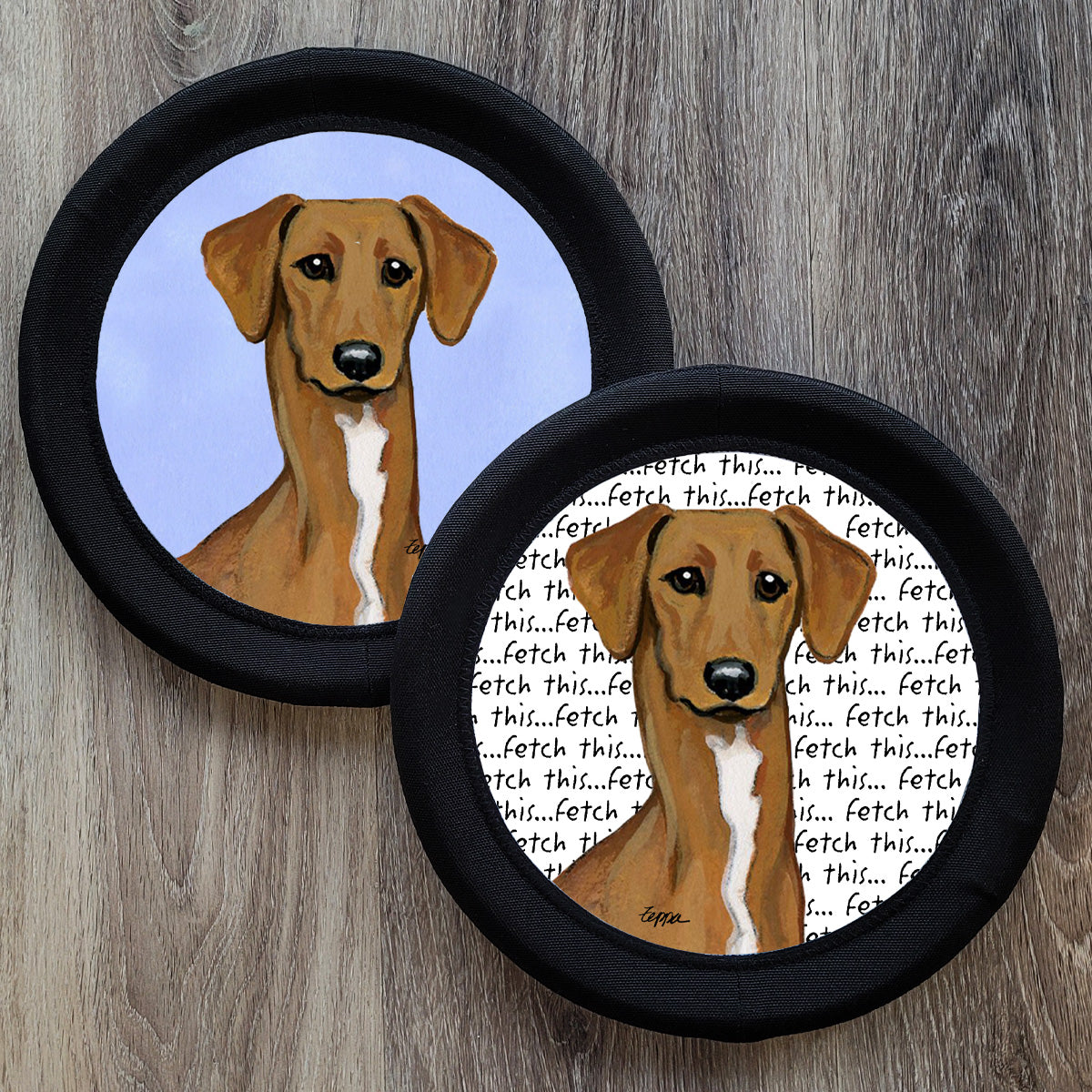 Two FotoFrisby Flying disc dog toys with an image of anAzawakh