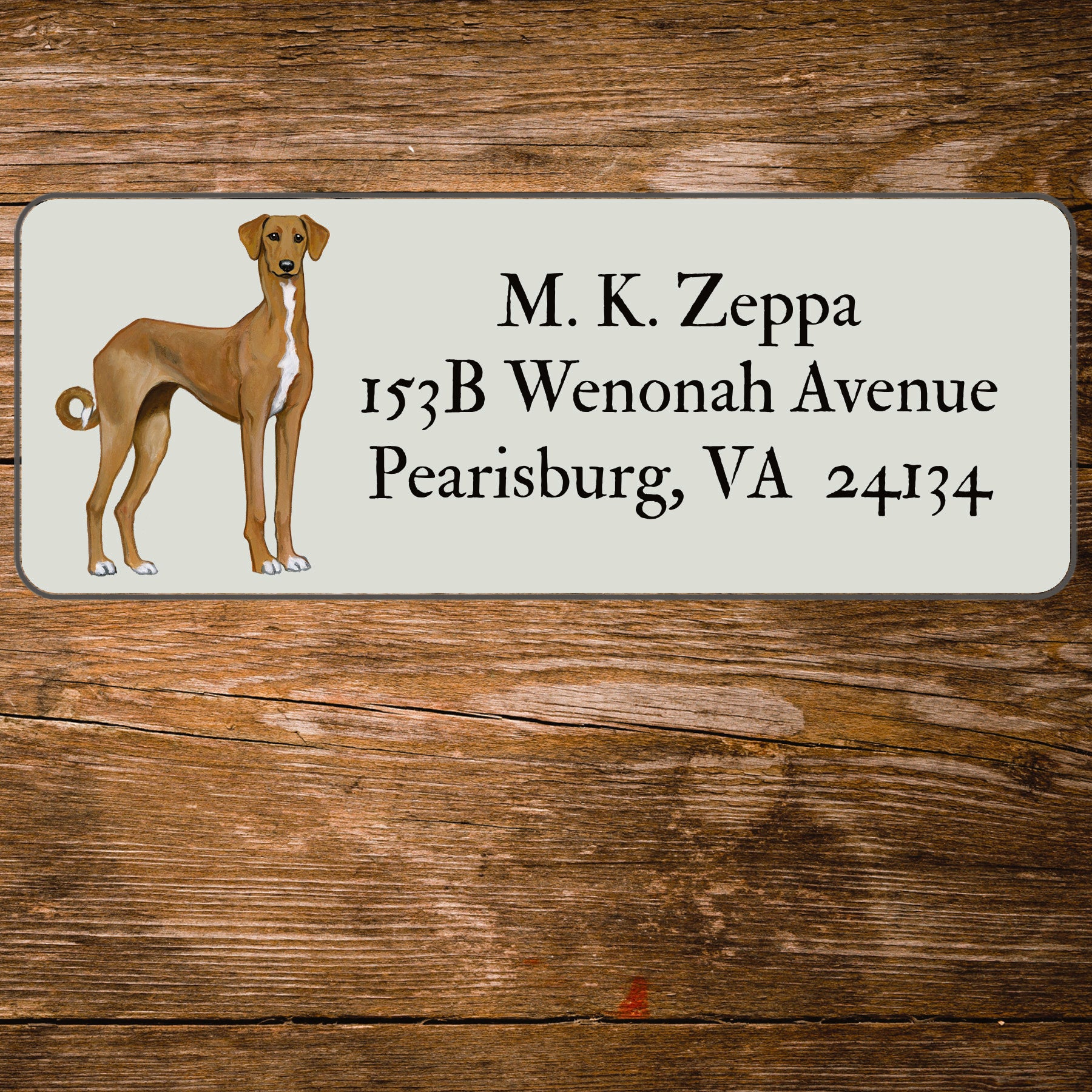Return Address Label with an illustration of an Azawakh dog.