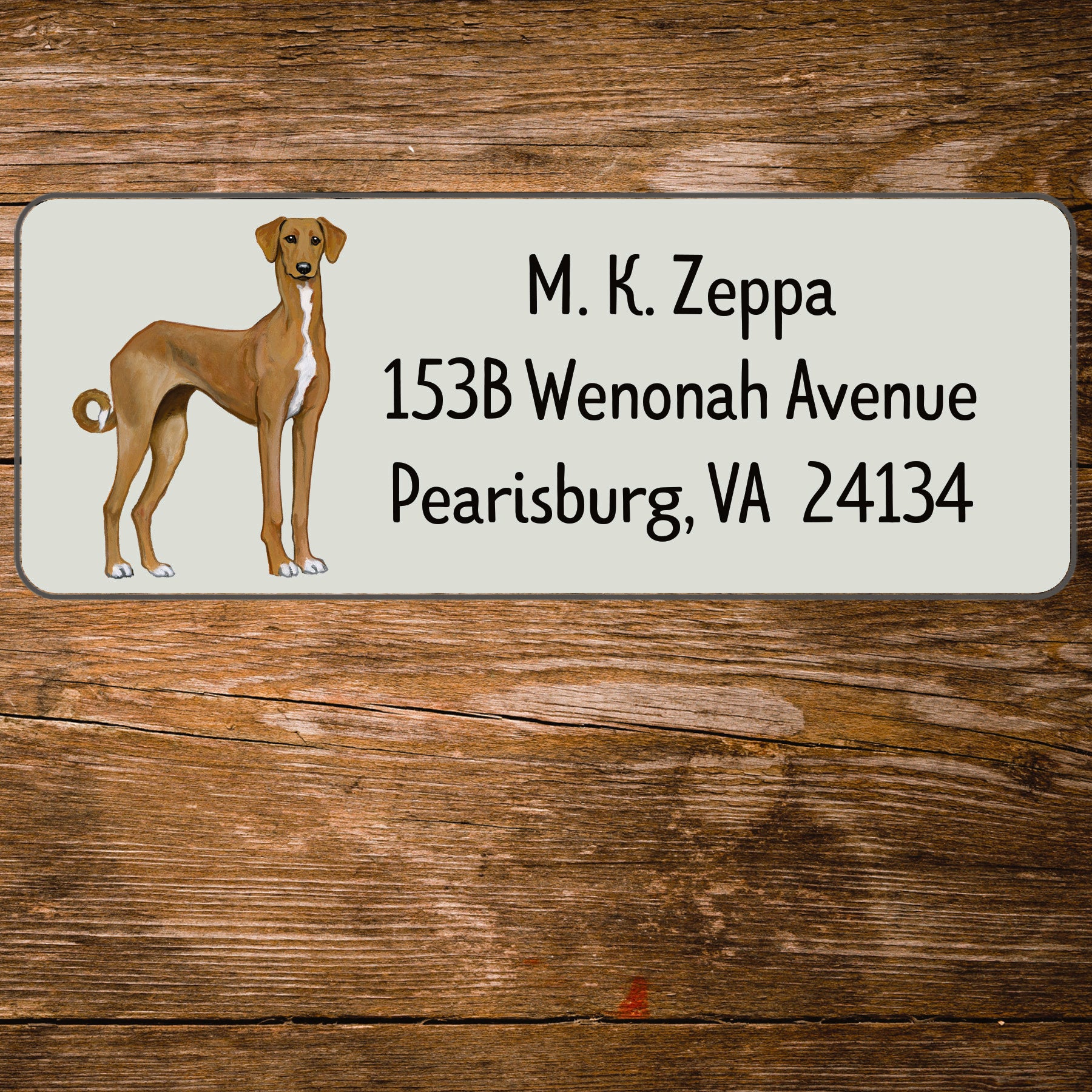 Return Address Label with an illustration of an Azawakh dog.