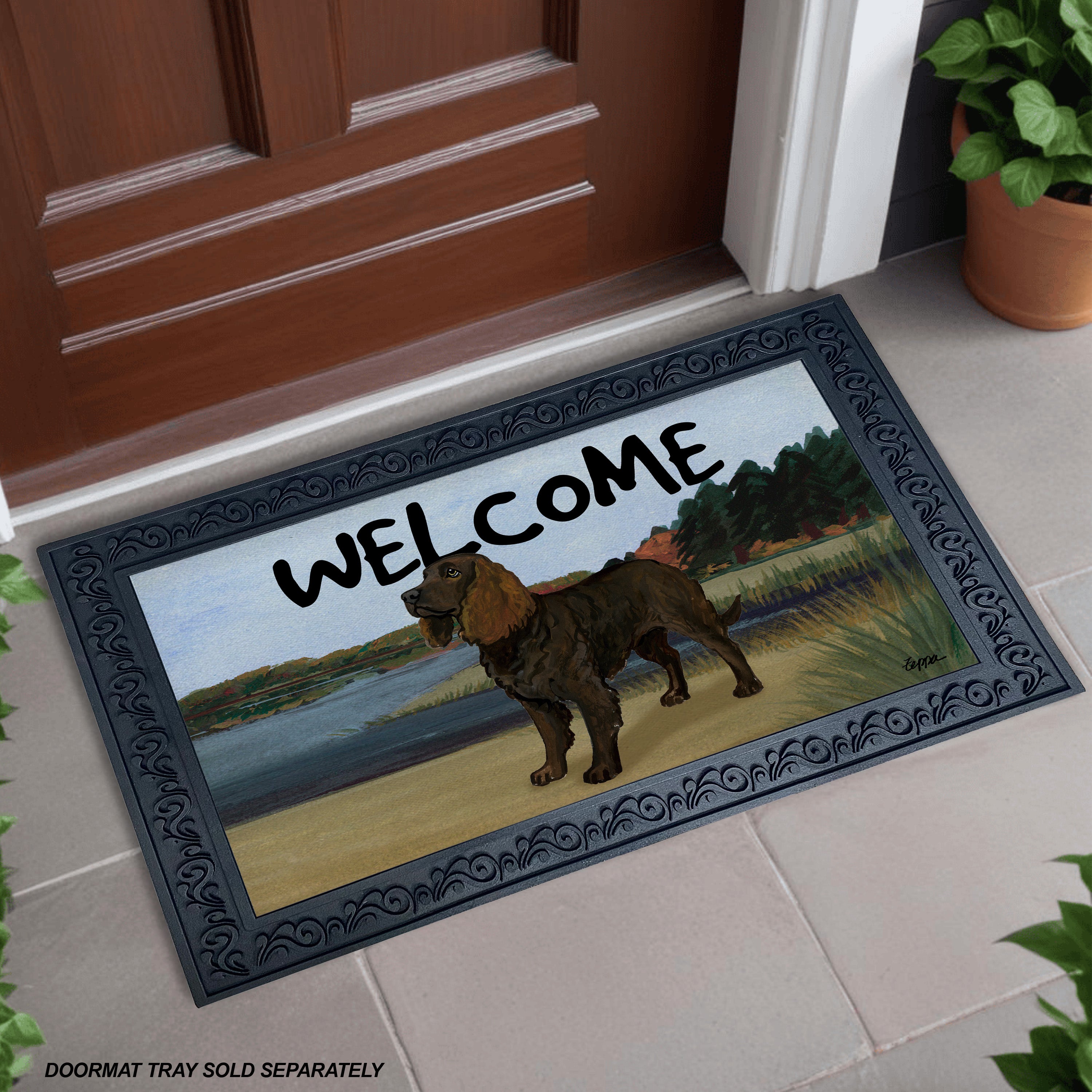 American Water Spaniel Lake Scene Welcome Mat