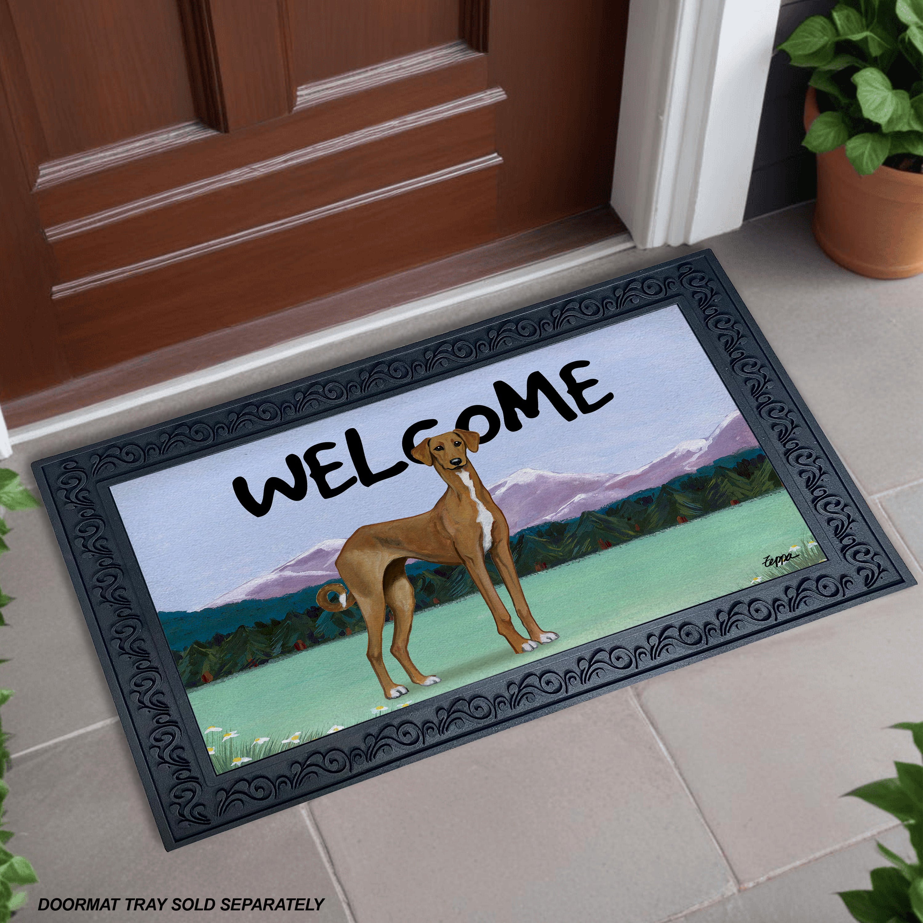 Azawah Mountain Scene Welcome Mat