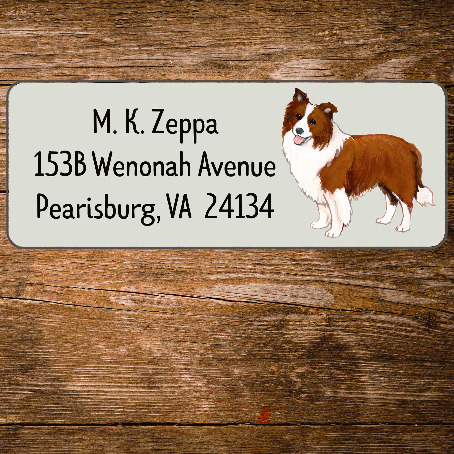 Return address label with a Border Collie illustration