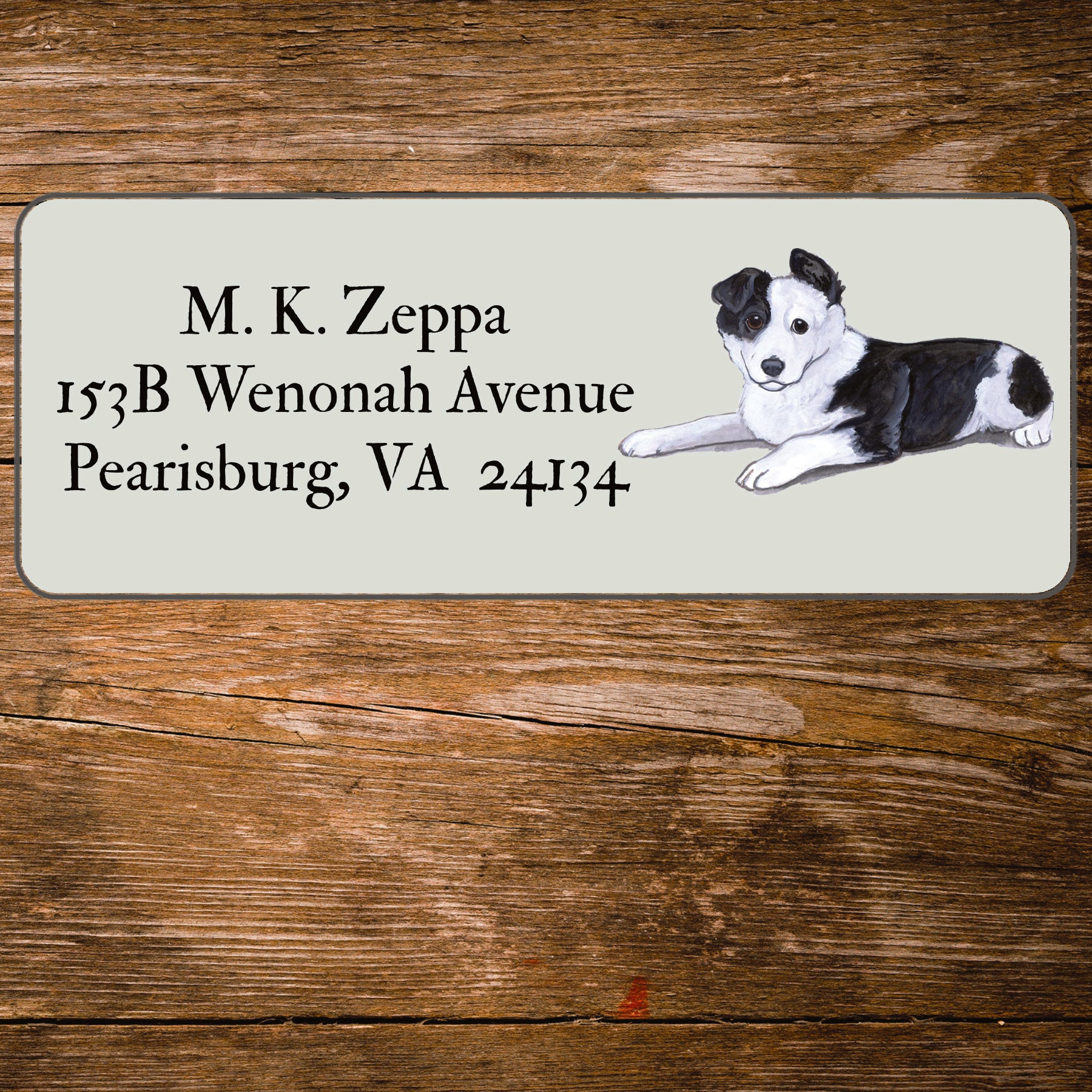 Return address label with a Border Collie illustration