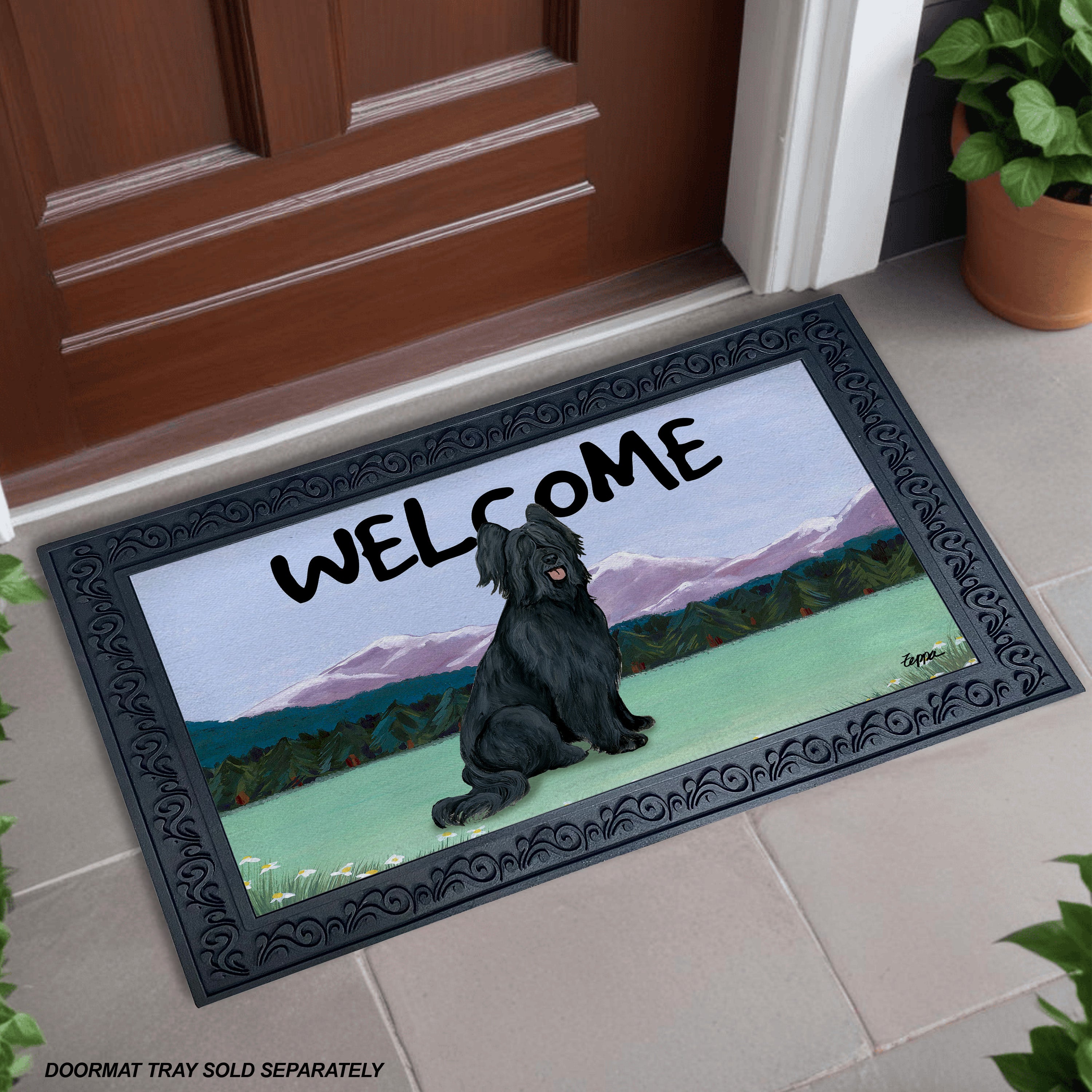 Briard Scenic Welcome Mat