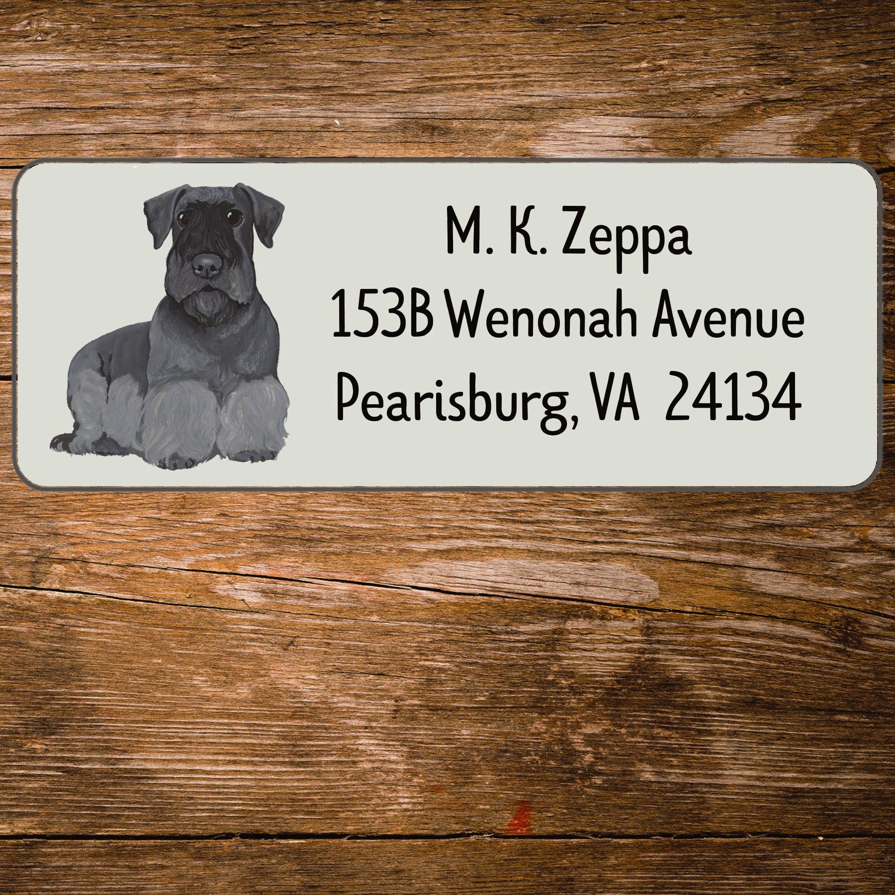 Return address label with an illustration of a Cesky Terrier
