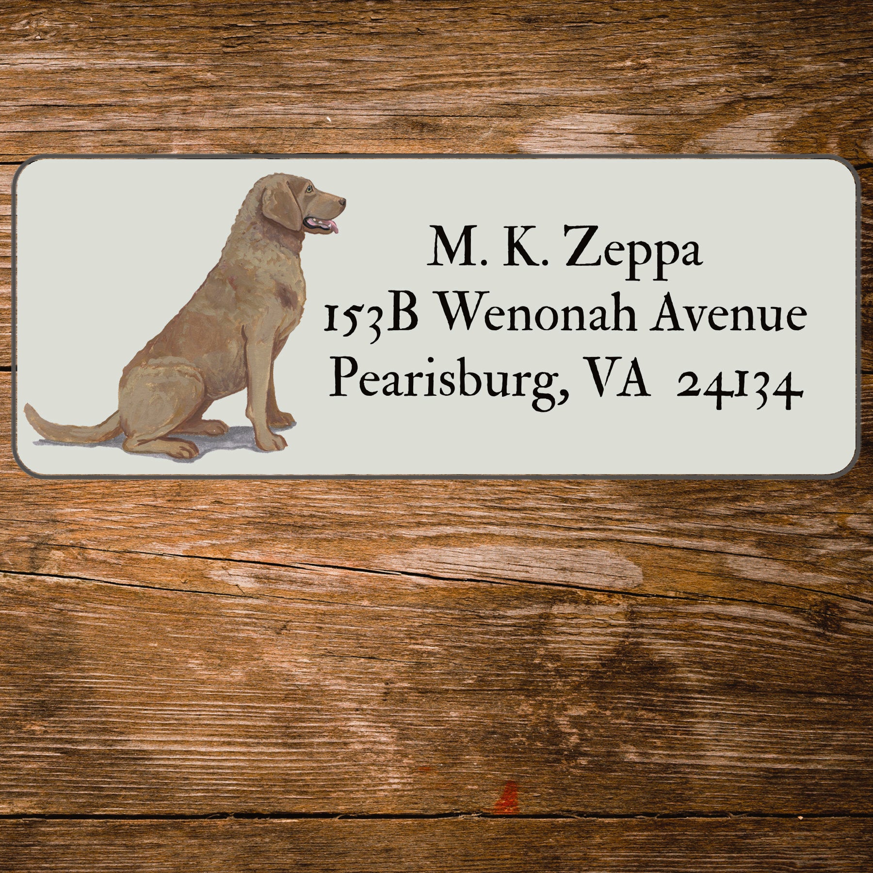 Return address label with a Chesapeake Bay Retriever illustration 