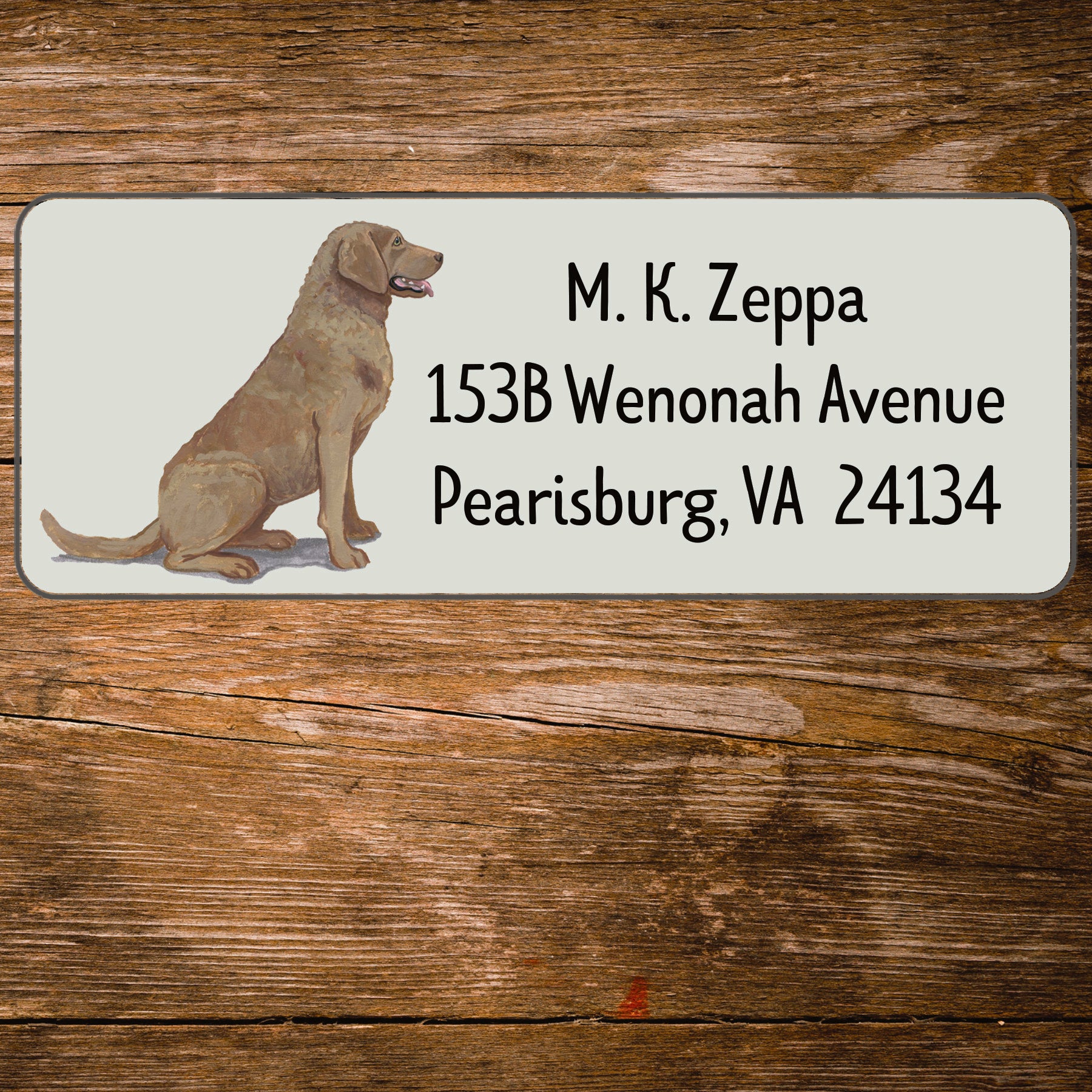 Return address label with a Chesapeake Bay Retriever illustration 