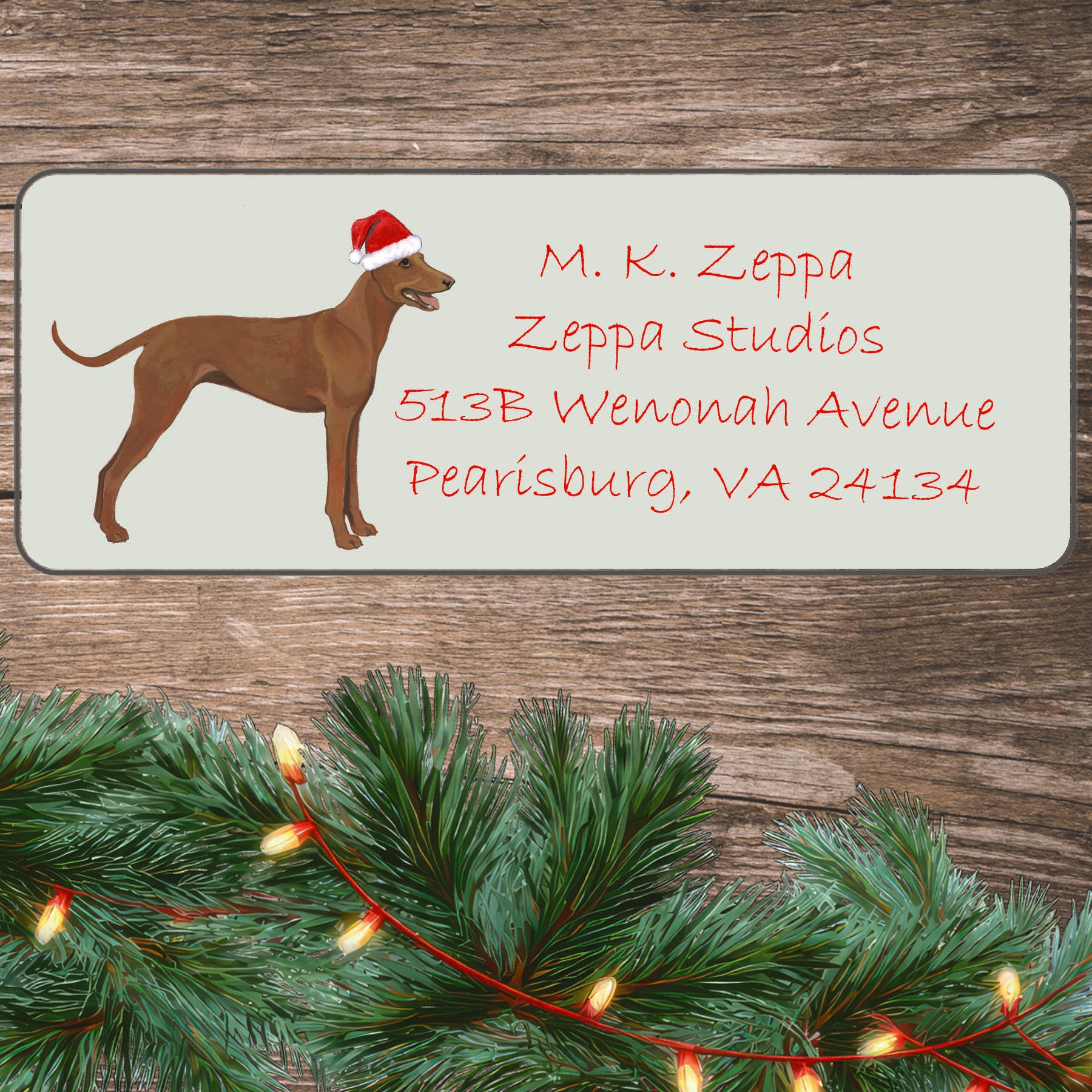 A Cirneco dell'Etna in a Santa Hat illustration on an ivory return address label set off by a wood surface with holiday greenery background.