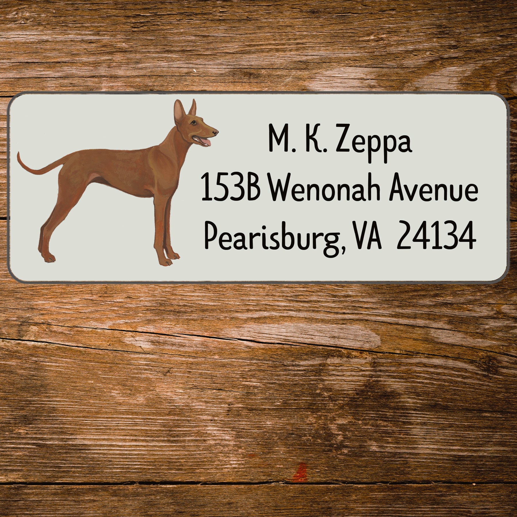 Address Label with an illustration  of a Cirneco dell'Etna