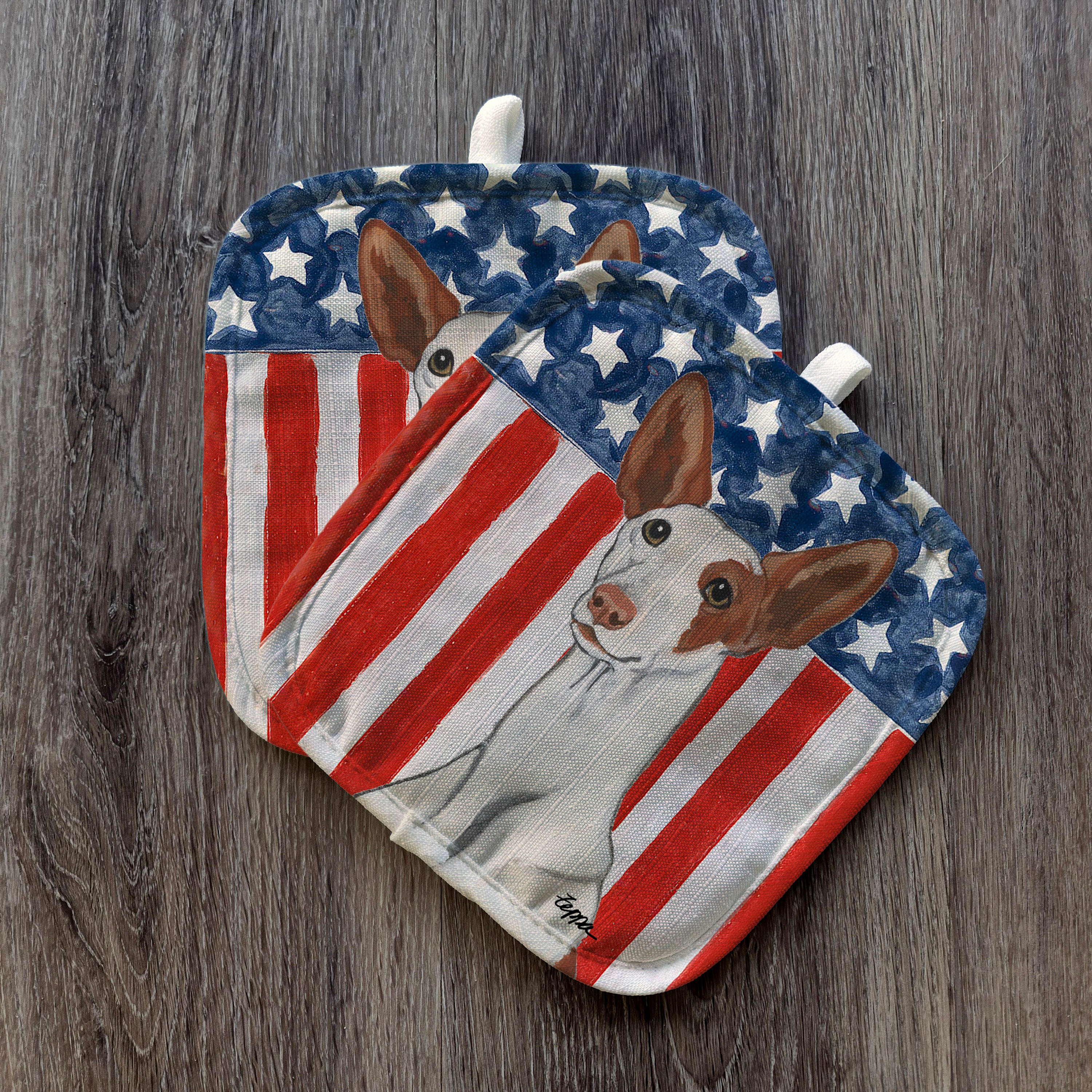 Ibizan Americana Pot Holders
