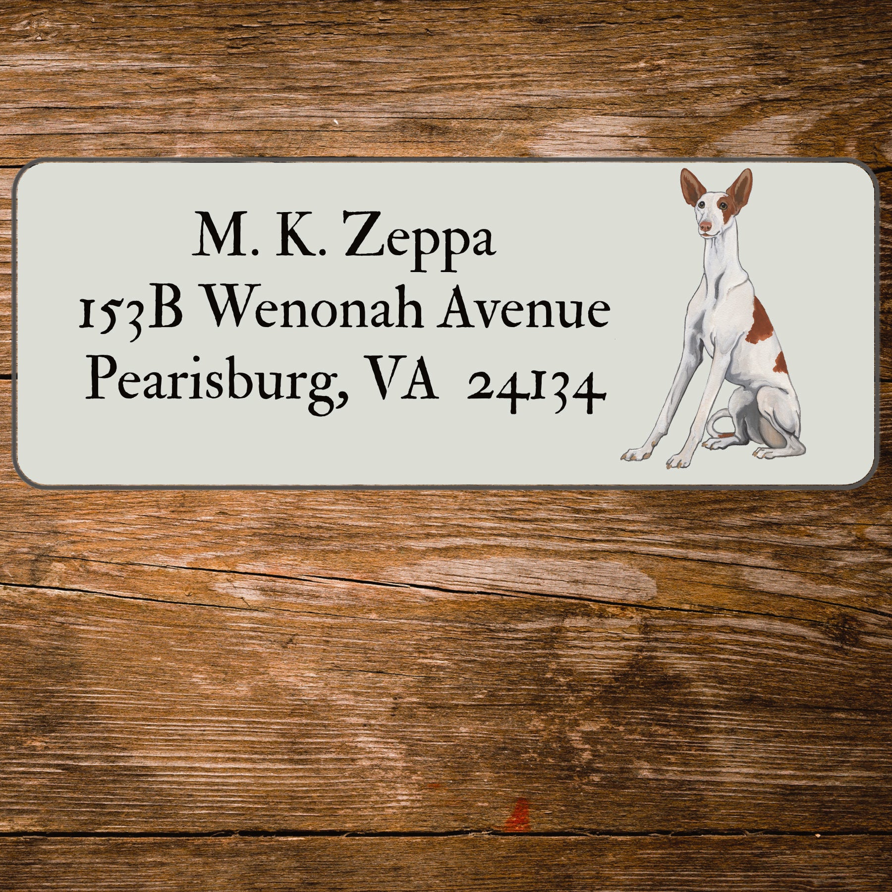 Return address label with an illustration of an Ibizan Hound