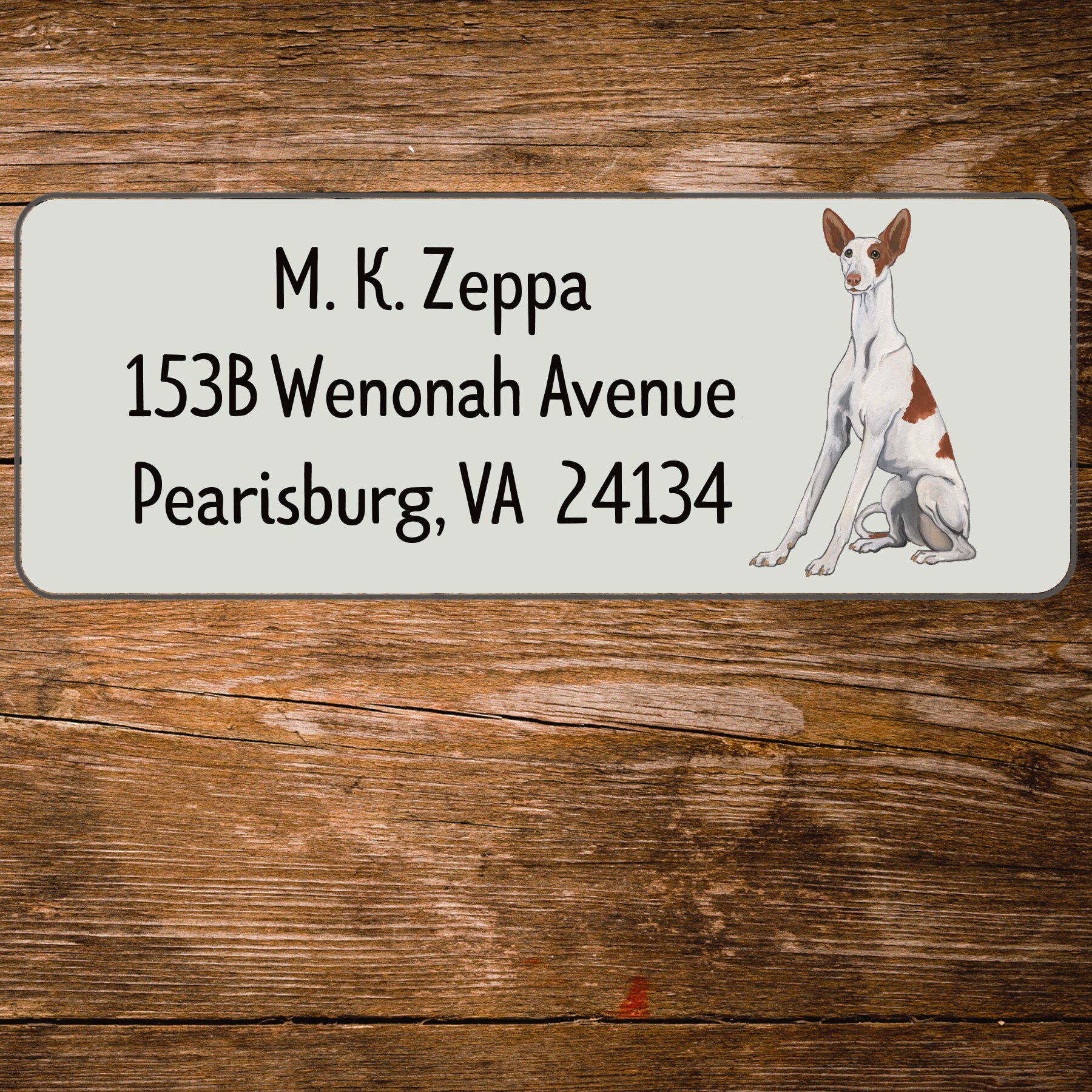 Return address label with an illustration of an Ibizan Hound