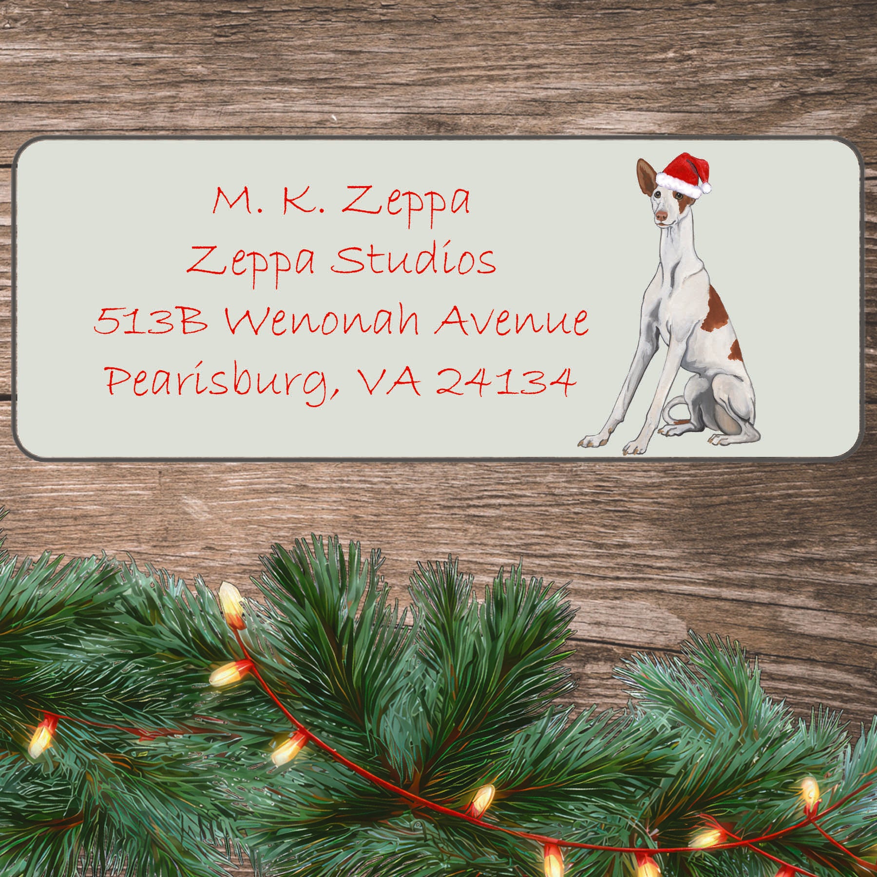 An Ibizan Hound wearing a Santa Hat illustration on an ivory return address label set off by a wood surface with holiday greenery background.