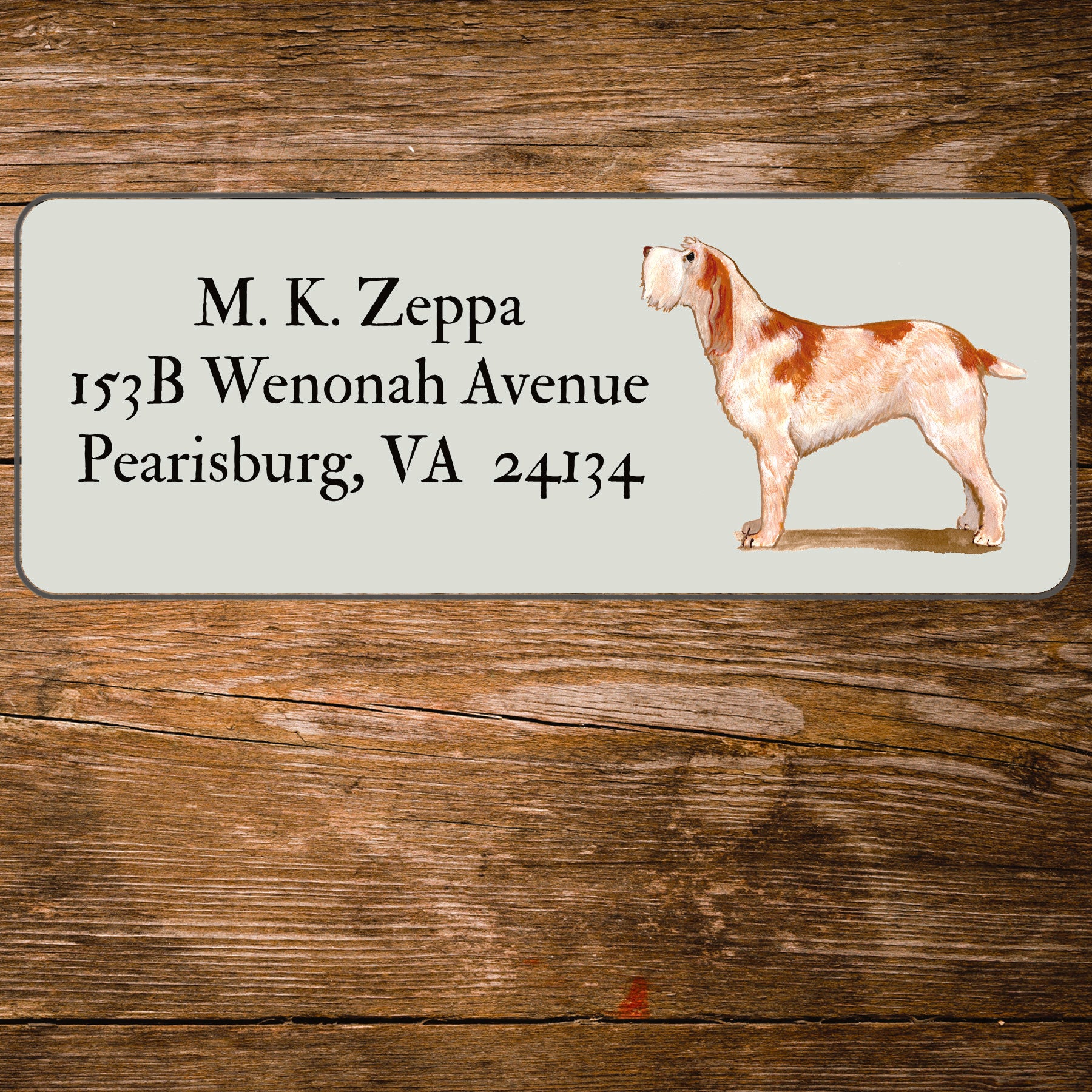 Return address label with an Italian Spinone illustration.