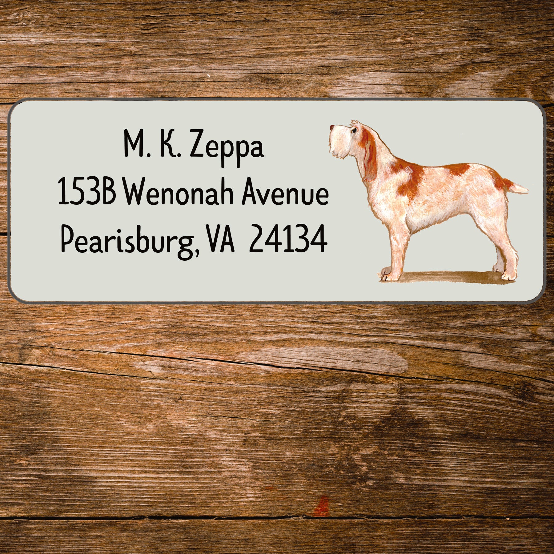 Return address label with an Italian Spinone illustration.
