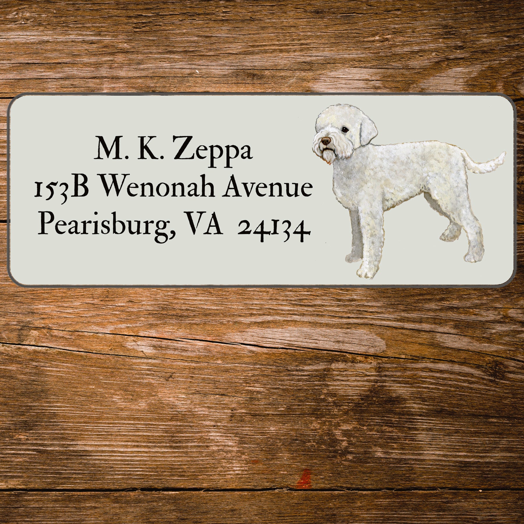 Return address label with an illustration of a Lagotto Romagnolo.
