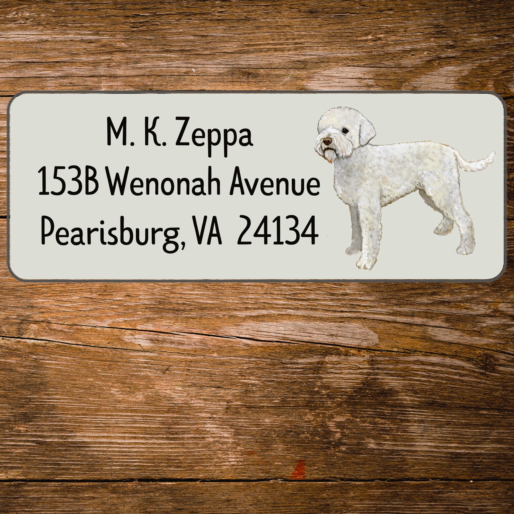 Return address label with an illustration of a Lagotto Romagnolo.