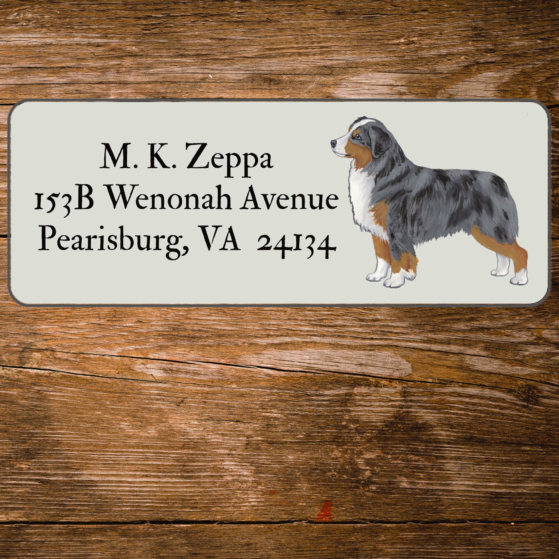 Return address label with an illustration of a Miniature American Shepherd