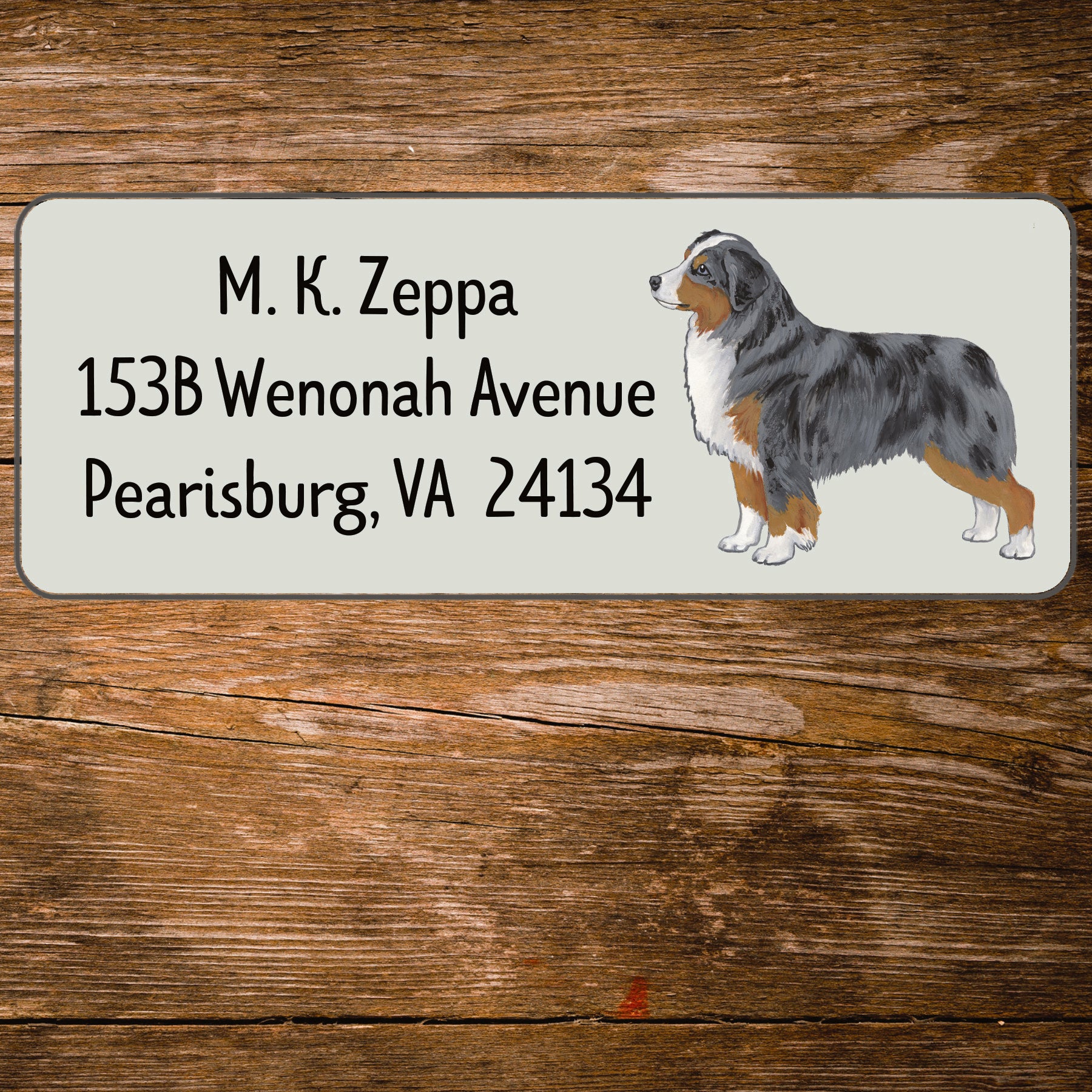 Return address label with an illustration of a Miniature American Shepherd