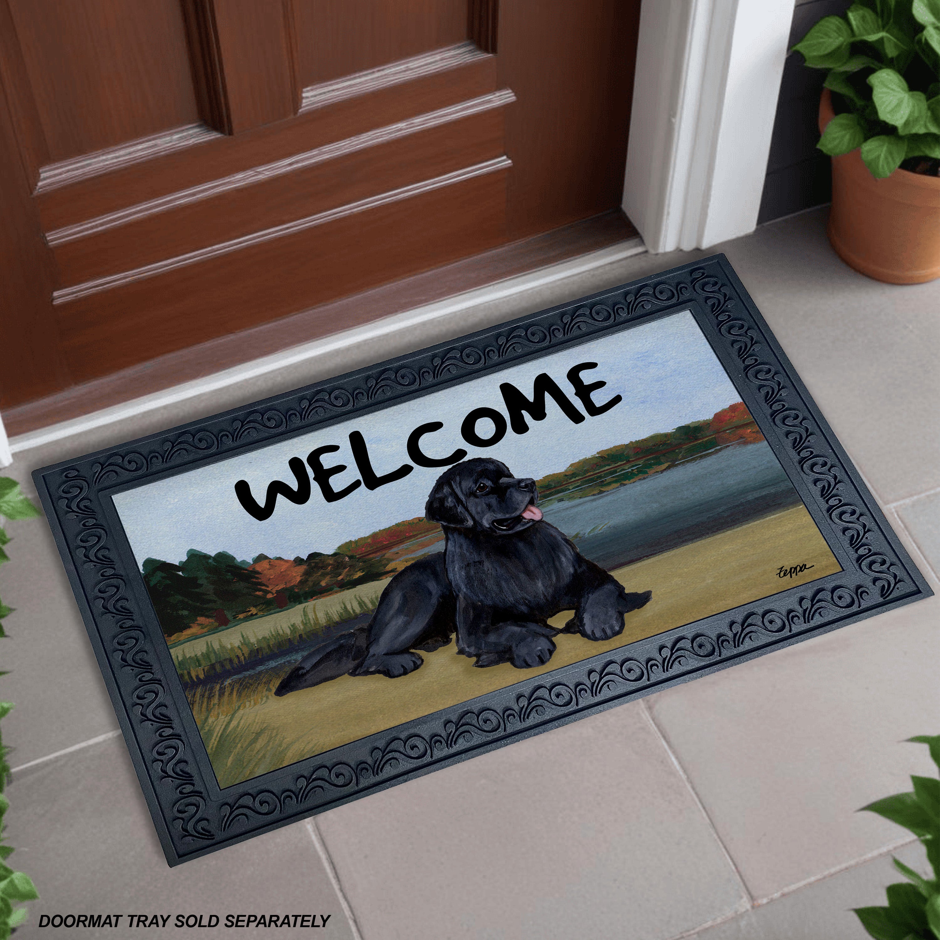 Newfoundland Lake Scene Welcome Mat