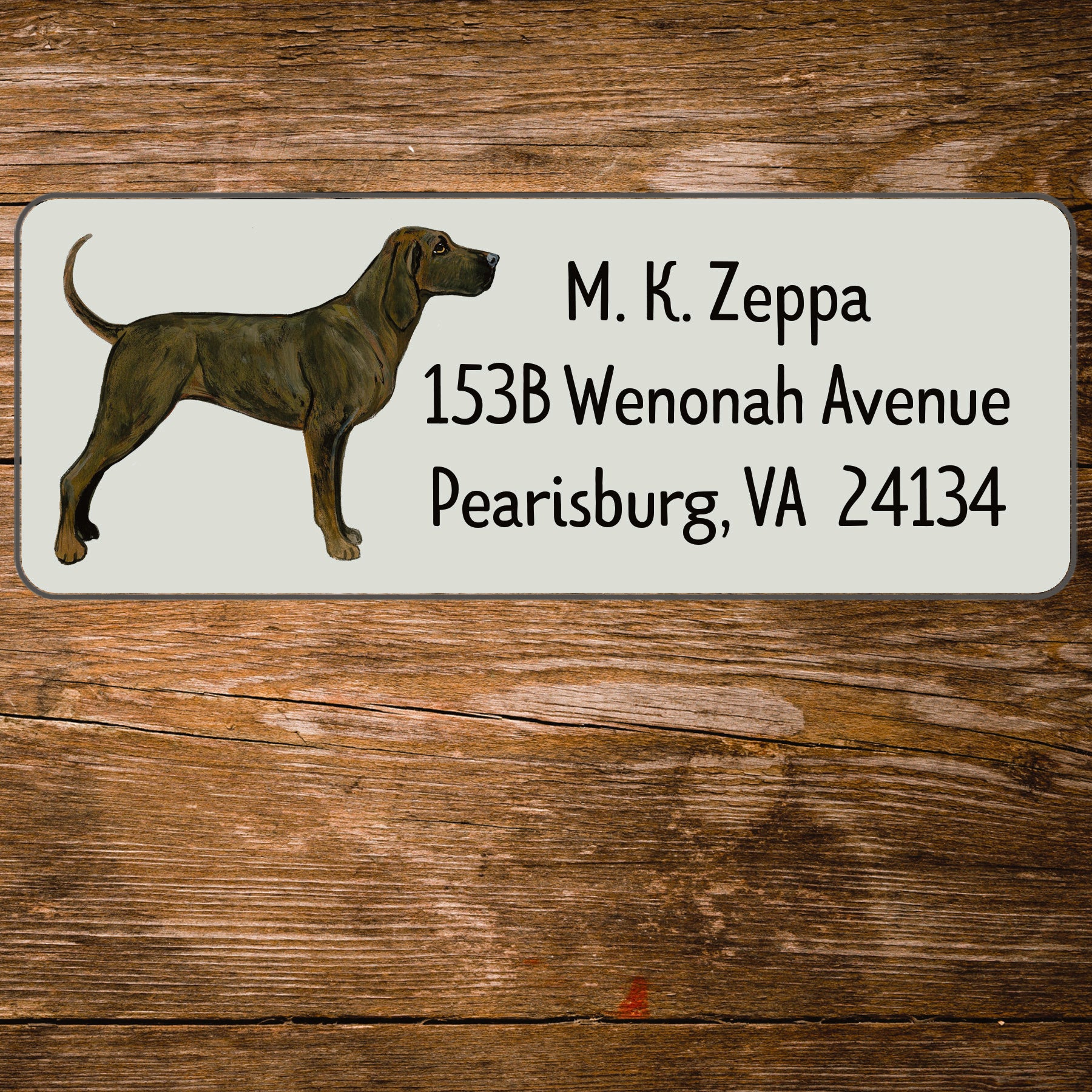 Address Label with an illustration  of a Plott Hound