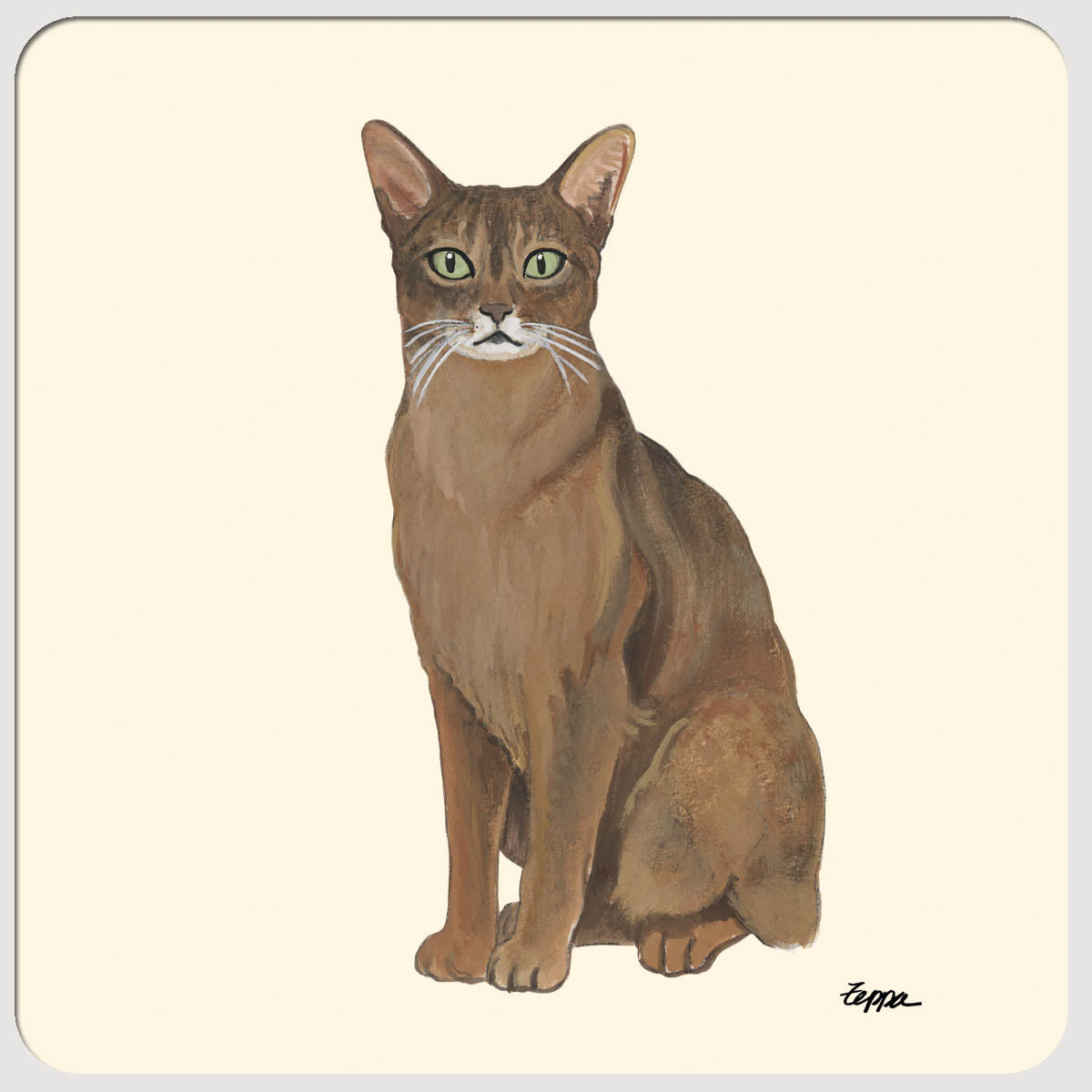 Abyssian Cat Plain Background Beverage Coasters