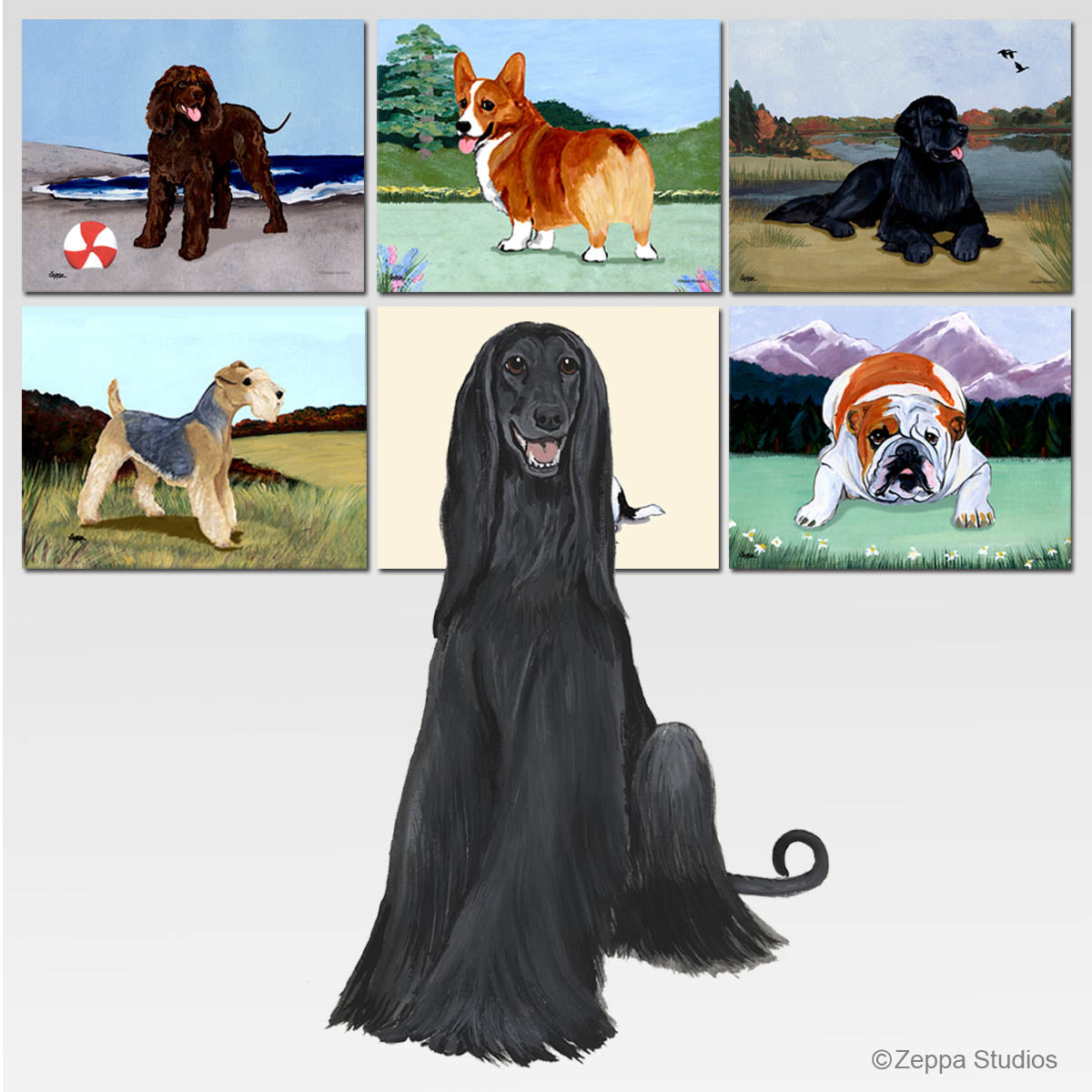 Black Afghan Hound and 6 available backgrounds for scenic glass cutting boards