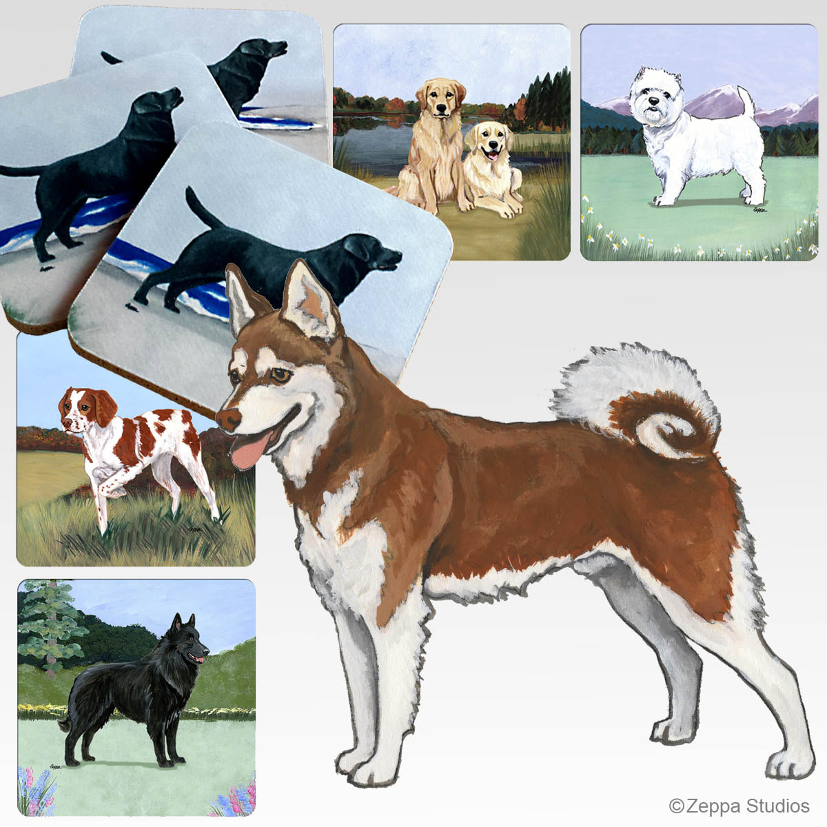 alaskan klee kai scenic background coasters