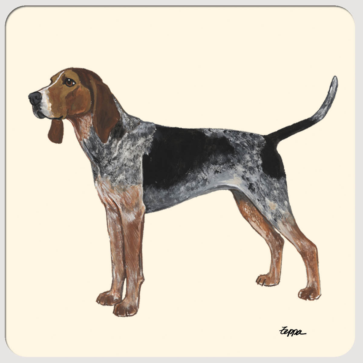 American English Coonhound Beverage Coasters