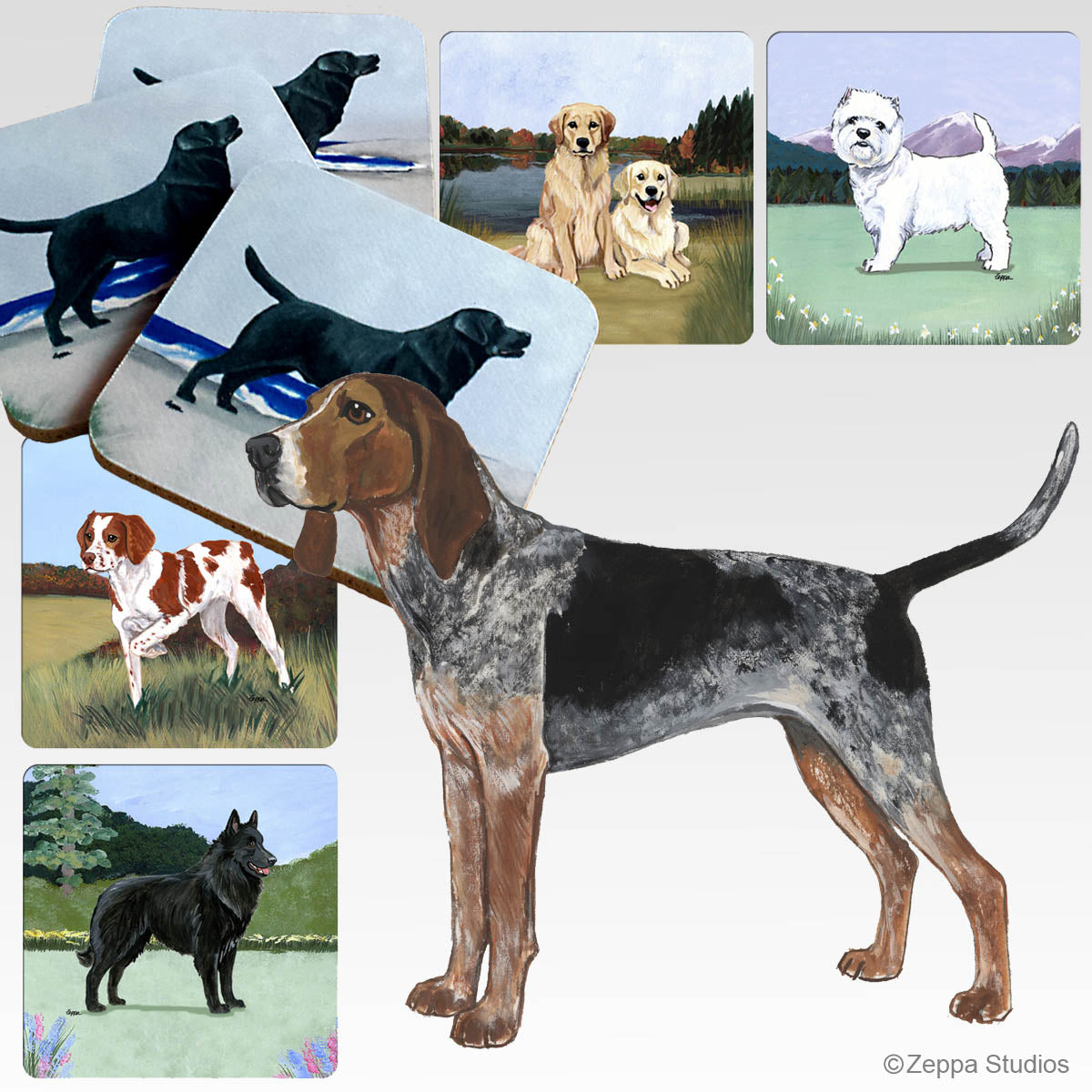 Cirneco dell'Etna Scenic Coasters