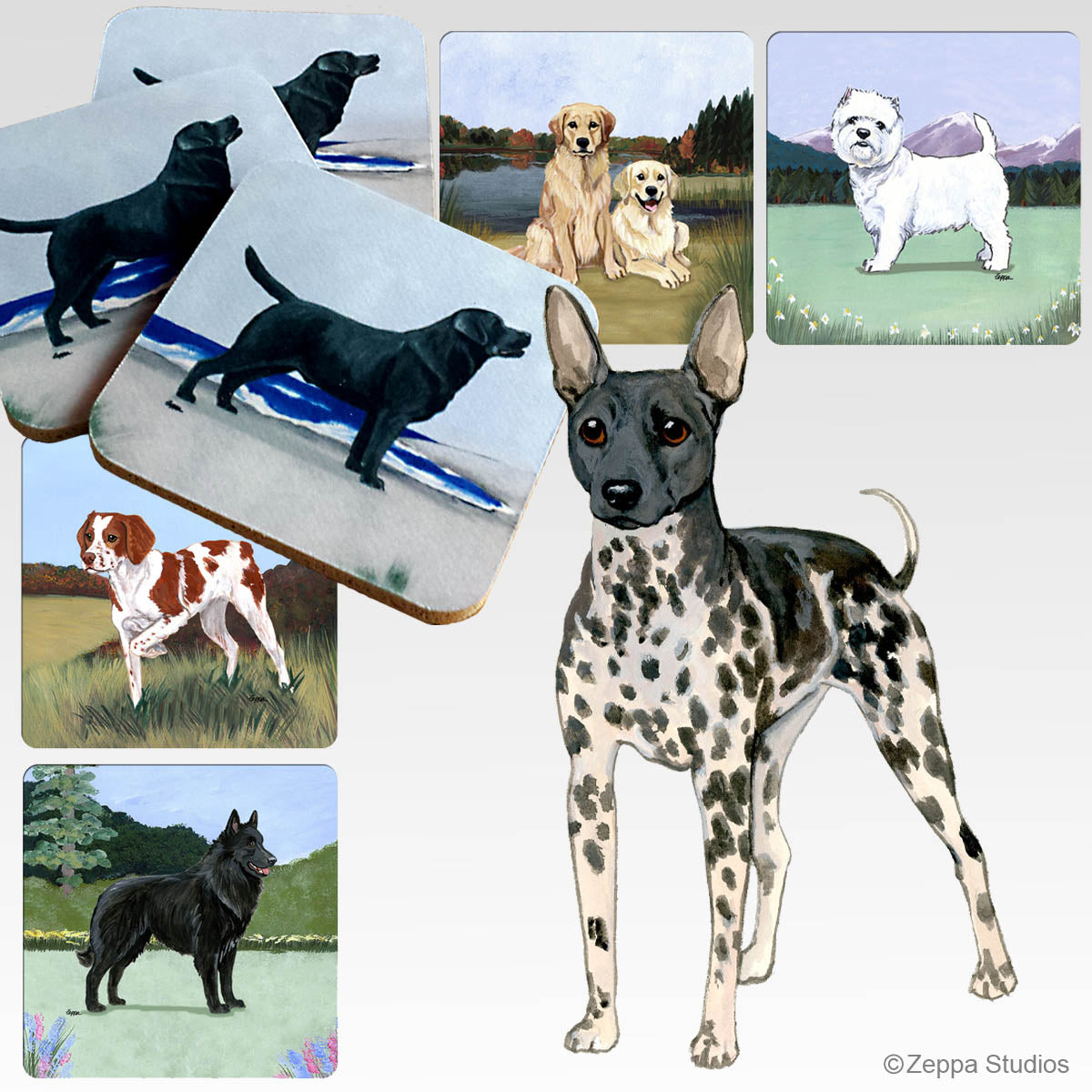 American Hairless Terrier Scenic Beverage Coasters