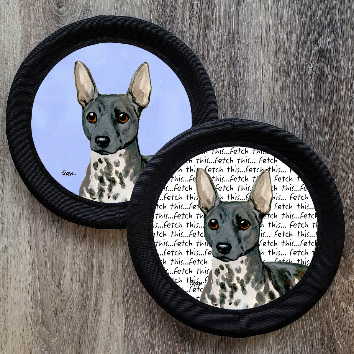 American Hairless Terrier FOTOFRISBYs