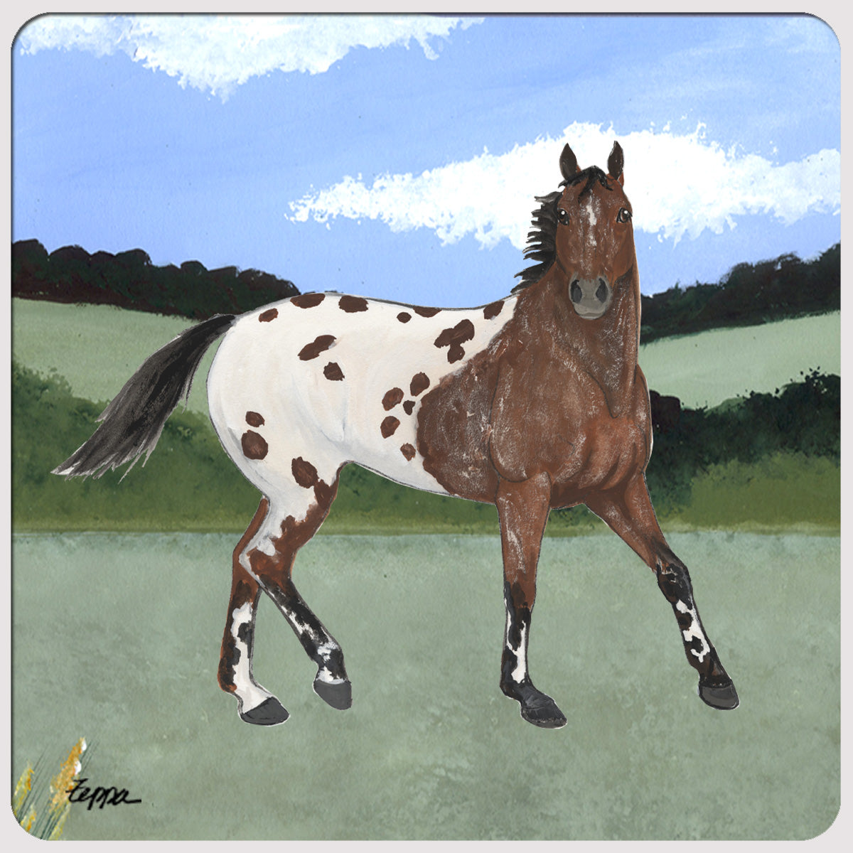 Appaloosa Scenic Beverage Coaster design.