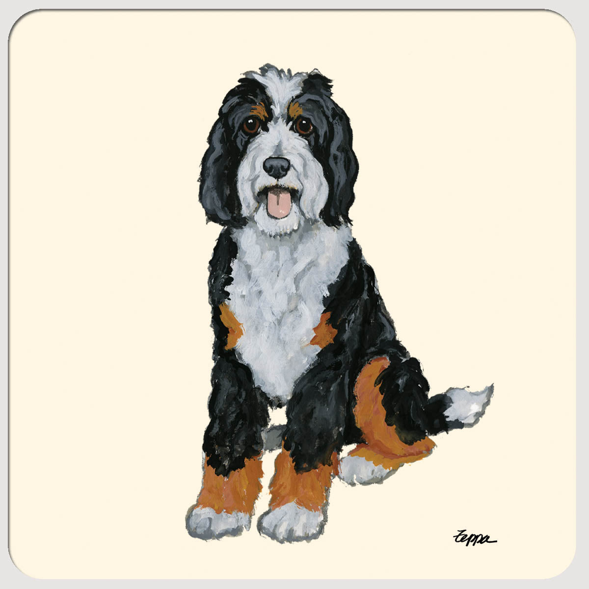 Bernedoodle Plain Background Coasters