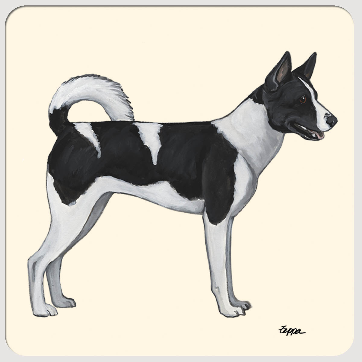 Canaan Dog Plain Beverage Coasters
