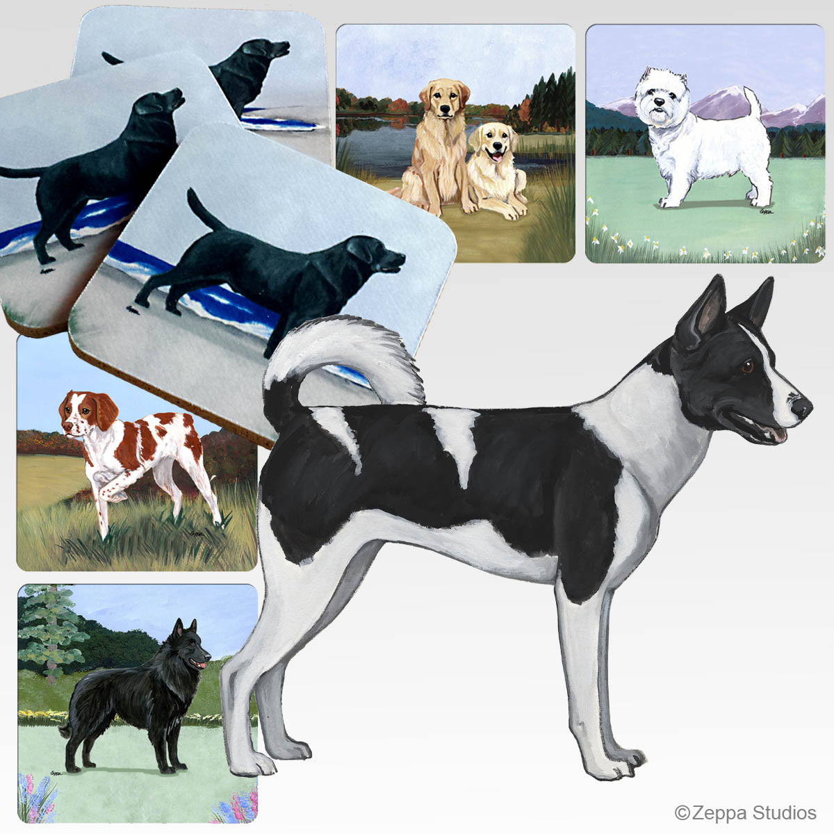 Canaan Dog Scenic Coasters