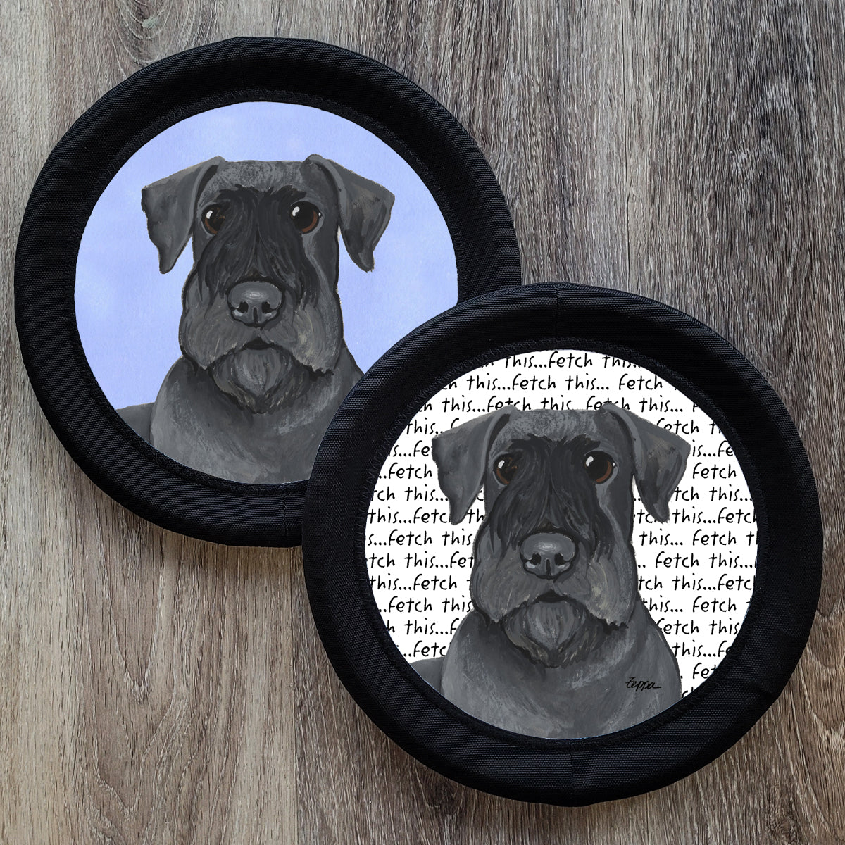 Cesky Terrier Fotofrisby Flying Disk Dog Toys