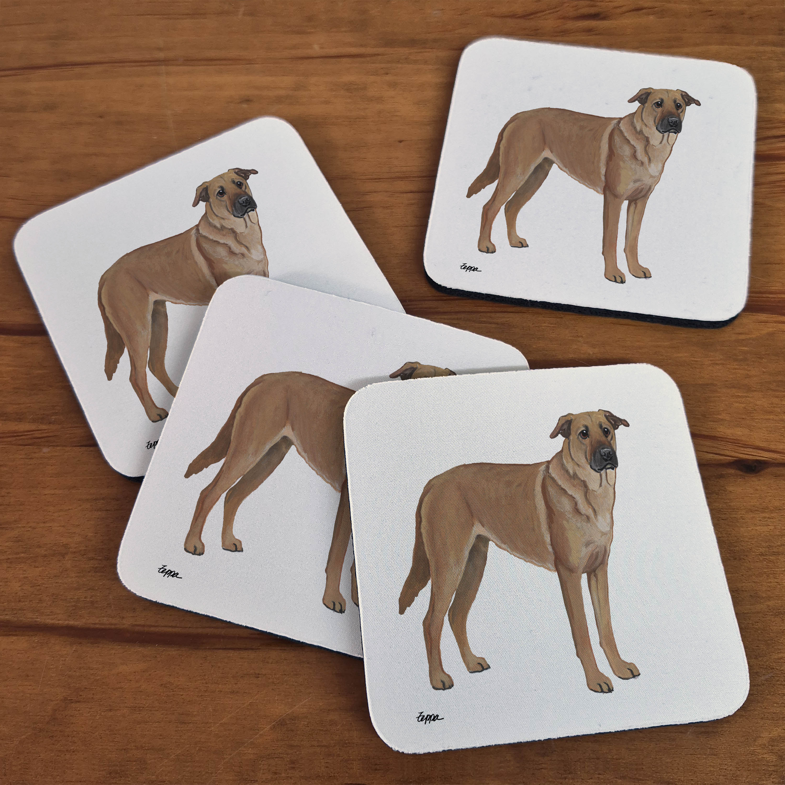 Rubber beverage coasters with a Chinook on a plain beige background