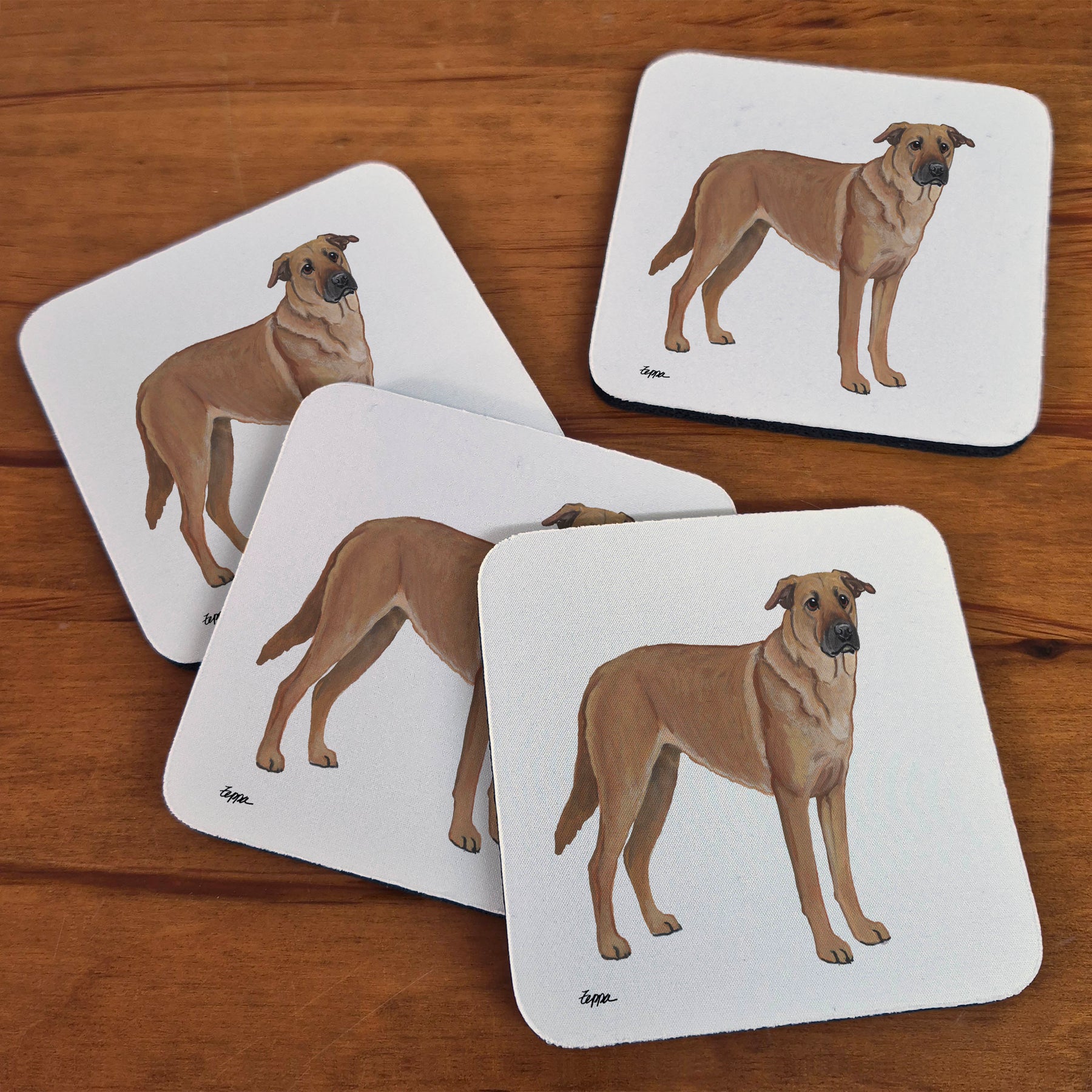 Rubber beverage coasters with a Chinook on a plain beige background