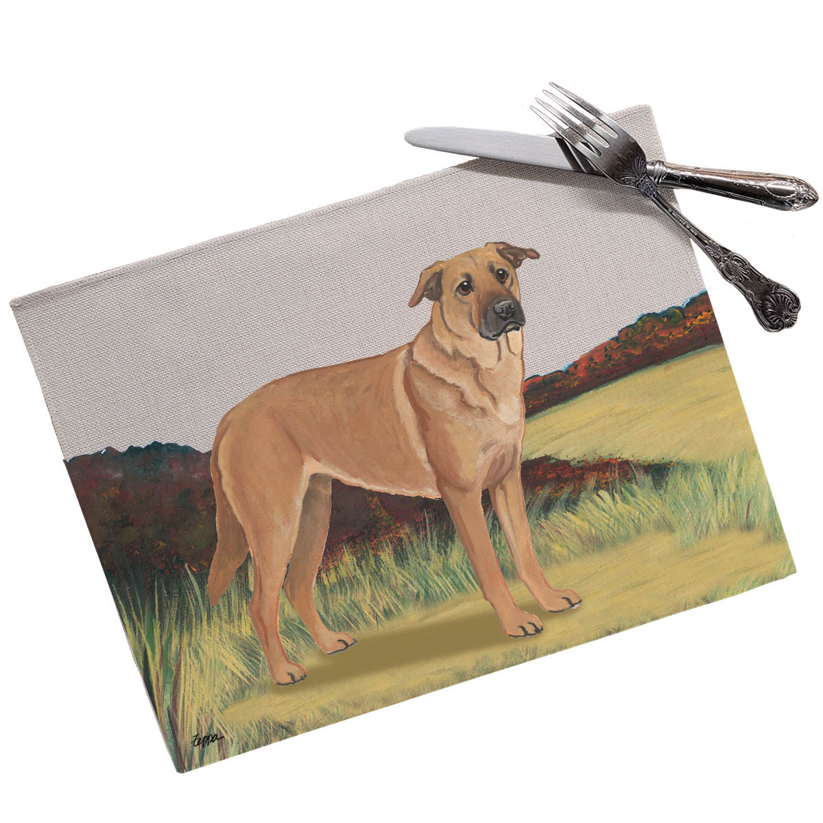 Placemat with a Chinook on a field background