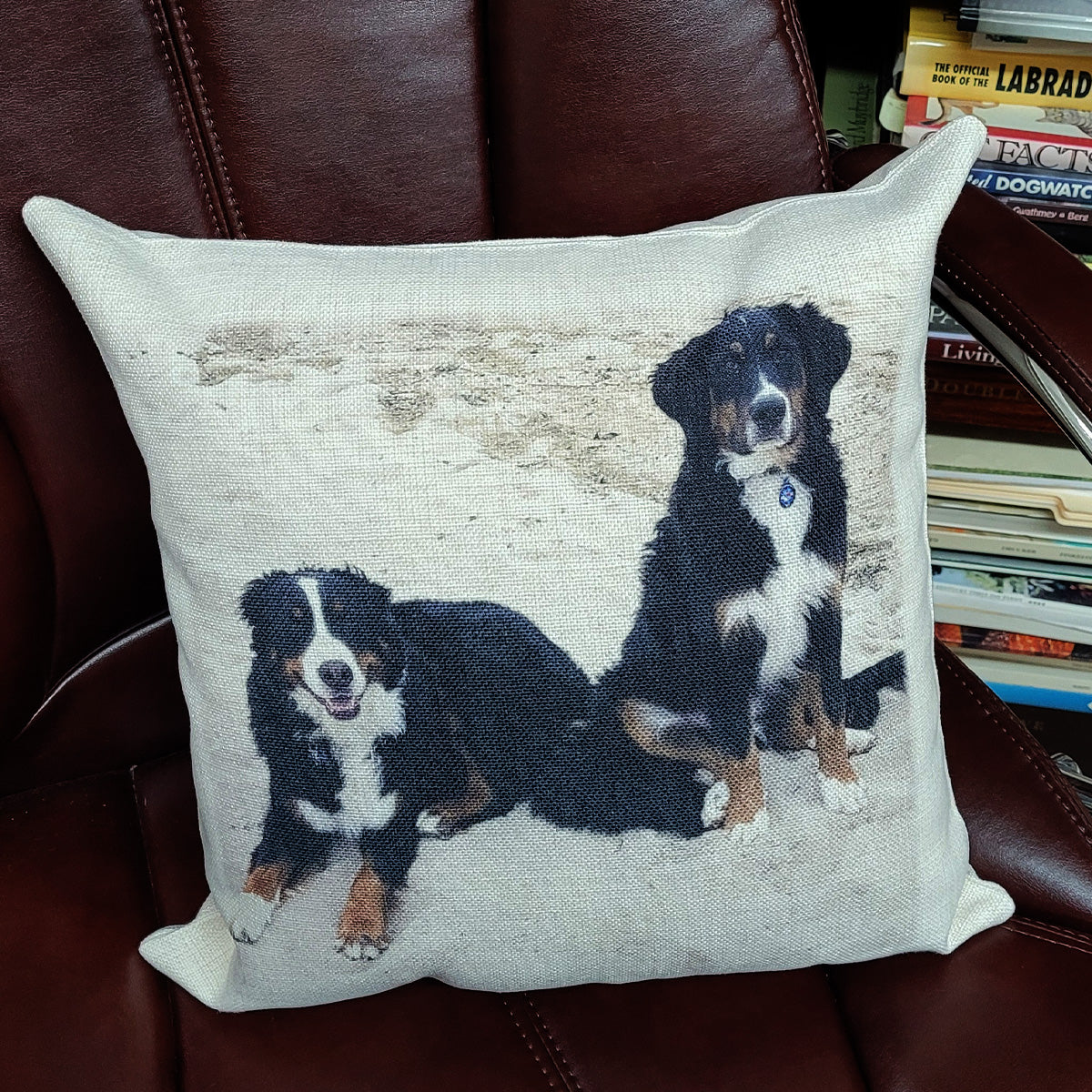 Custom Pillow from a photo of 2 Bernese Mtn Dogs