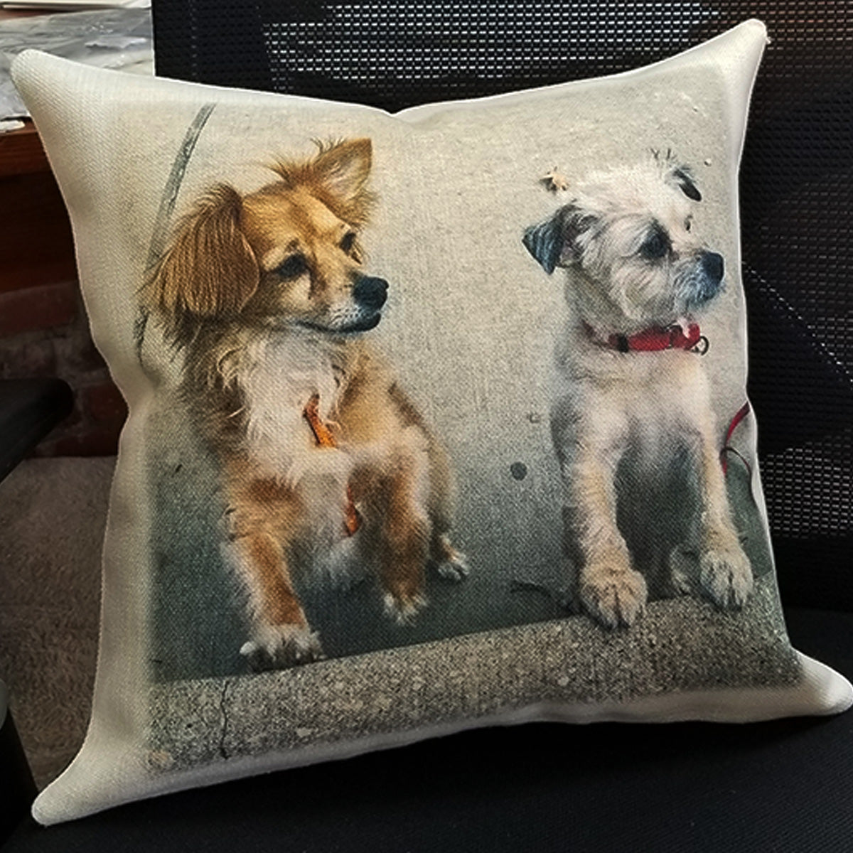 Custom pillow from a photo of two dogs.