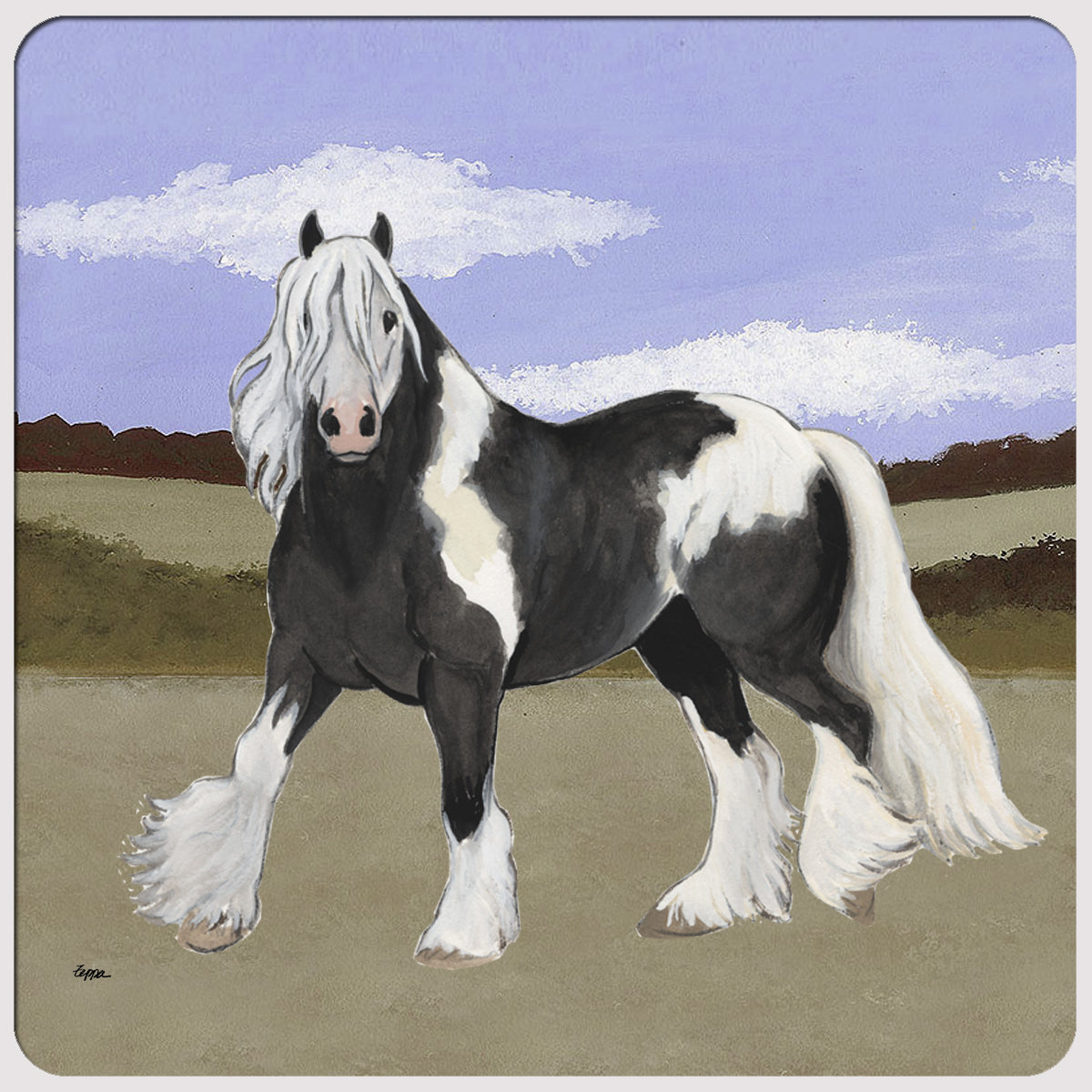 Gypsy Vanner Scenic Coaster
