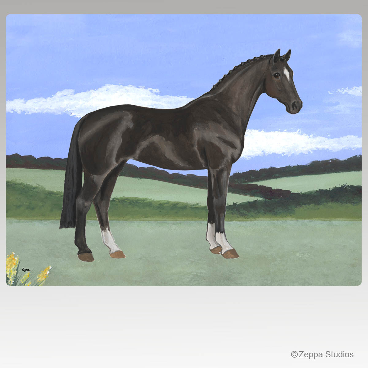 Illustratio of a Hanoverian horse in a field for a tempered glass cutting board.