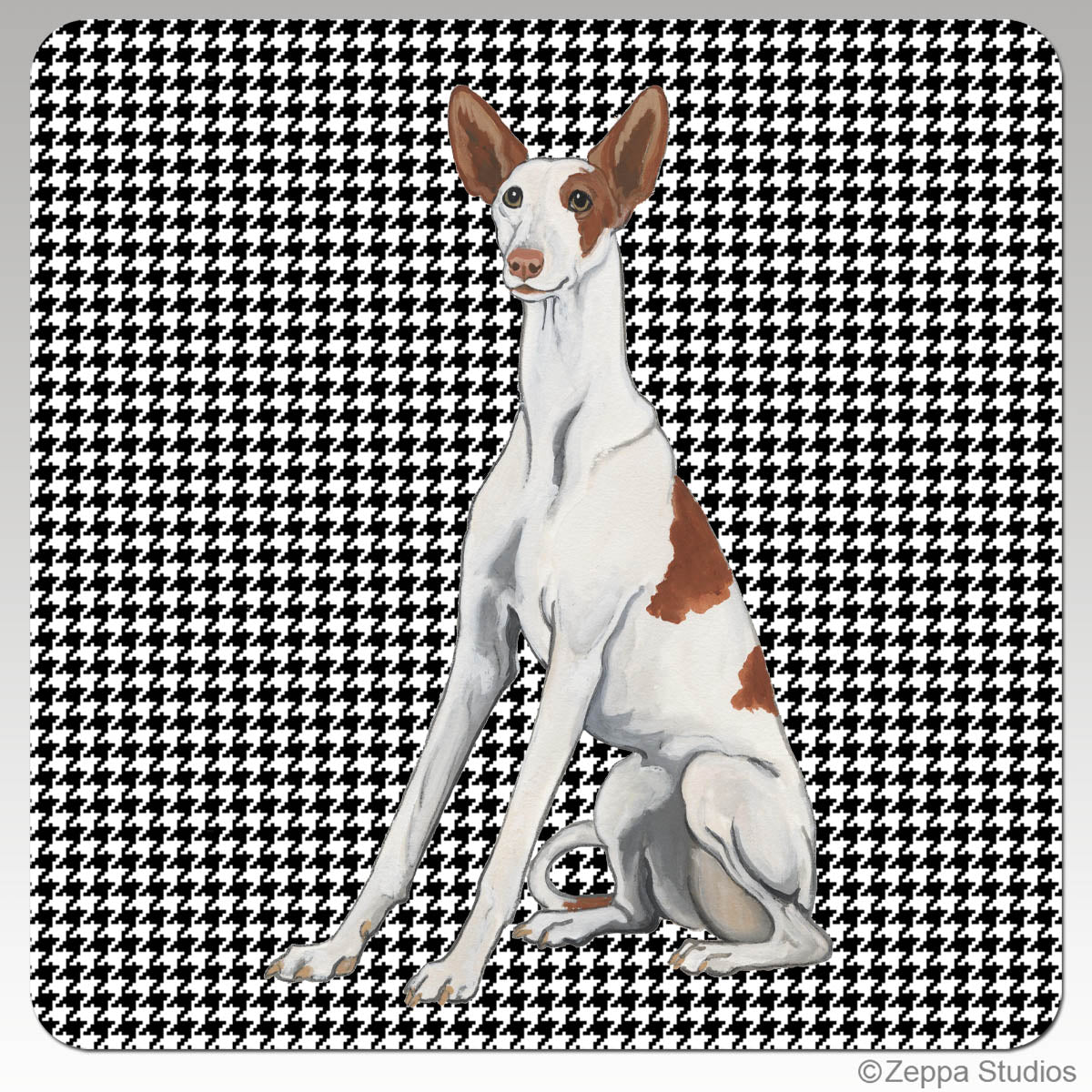 Ibizan Hound Houndstooth Coasters