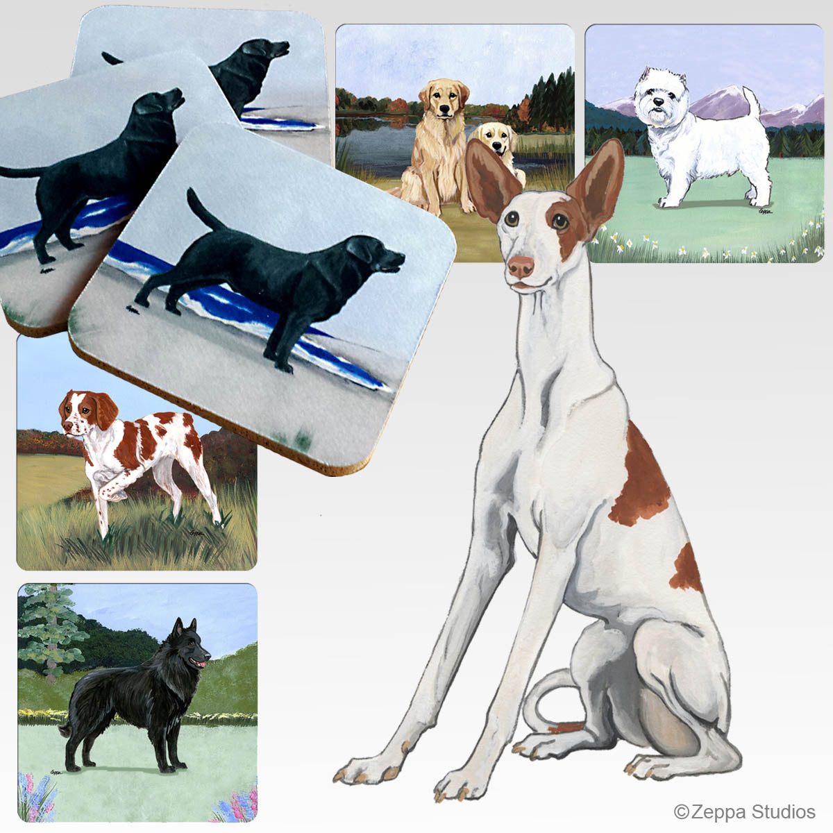 Ibizan Hound Scenic Beverage Coasters