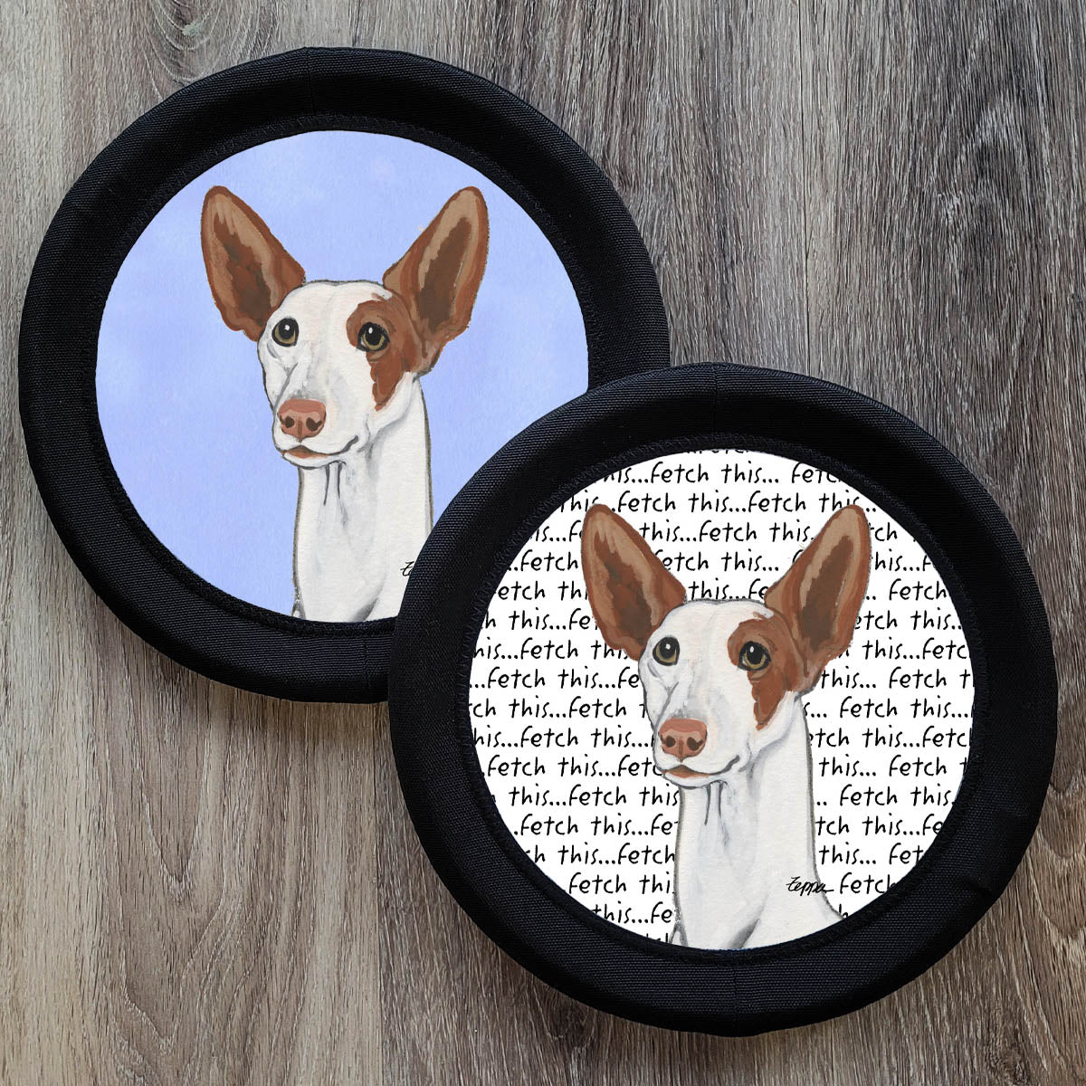 Ibizan Hound FotoFrisby