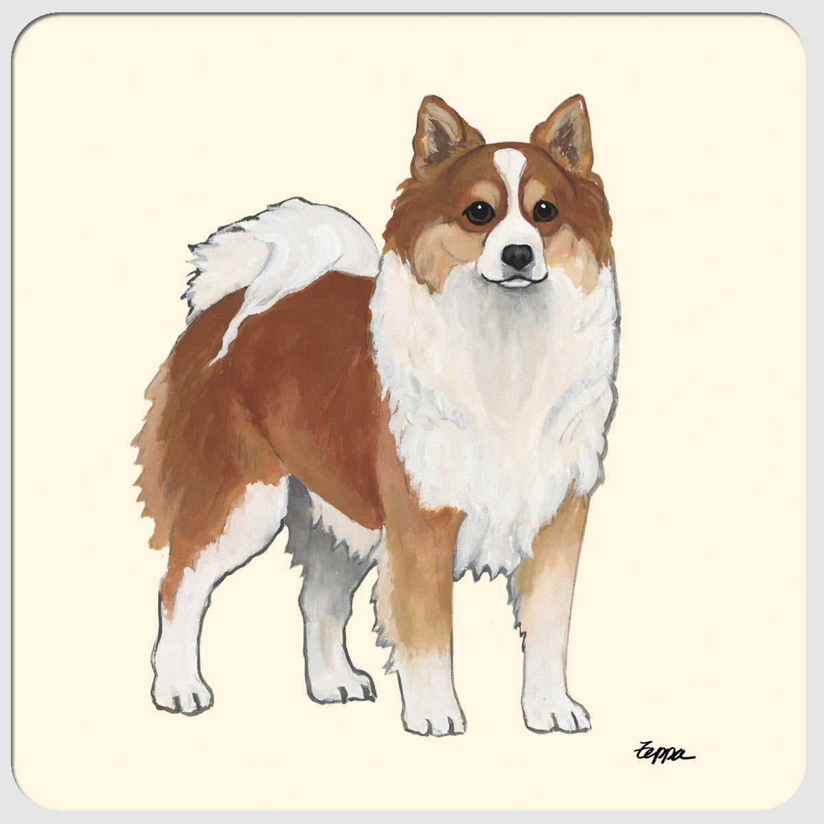 Icelandic Sheepdog painting on beige beverage coasters.
