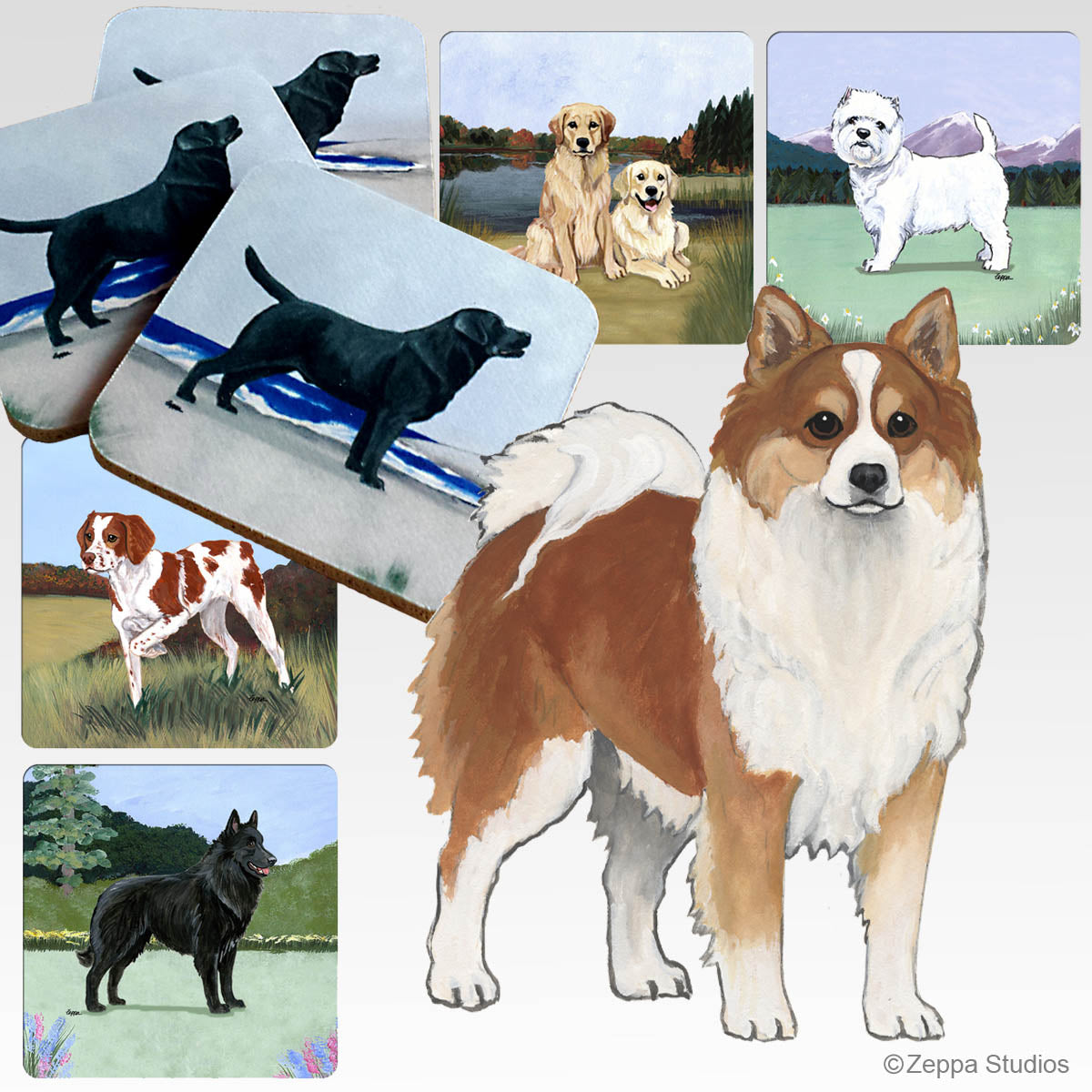 Icelandic Sheepdog Scenic Coasters