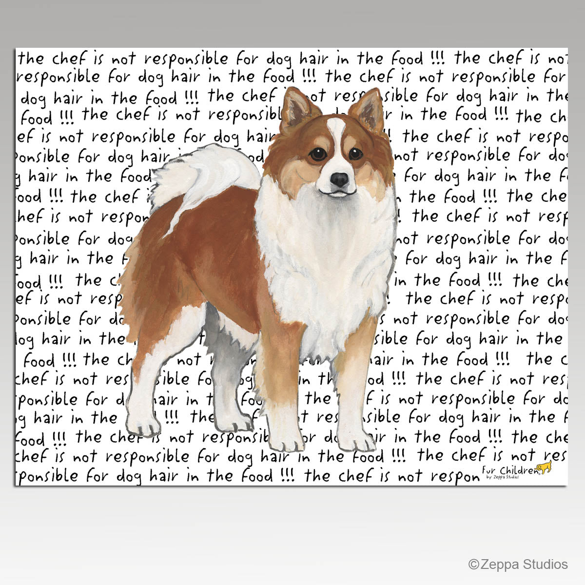 Icelandic Sheepdog on a chef is not responsible for dog hair in the food cutting board.